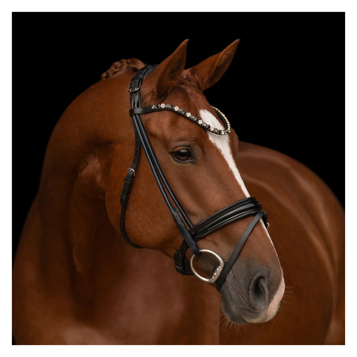 kieffer Trensenzaum Elli – Ansicht 1