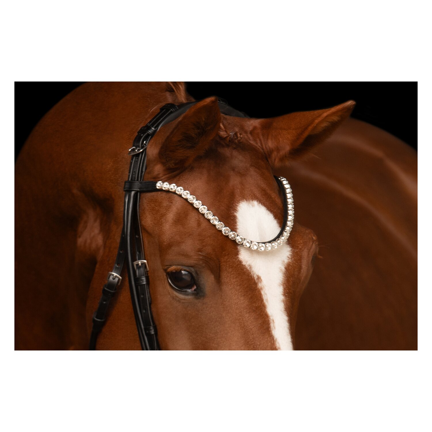 kieffer Kandarenzaum Faye – Ansicht 2