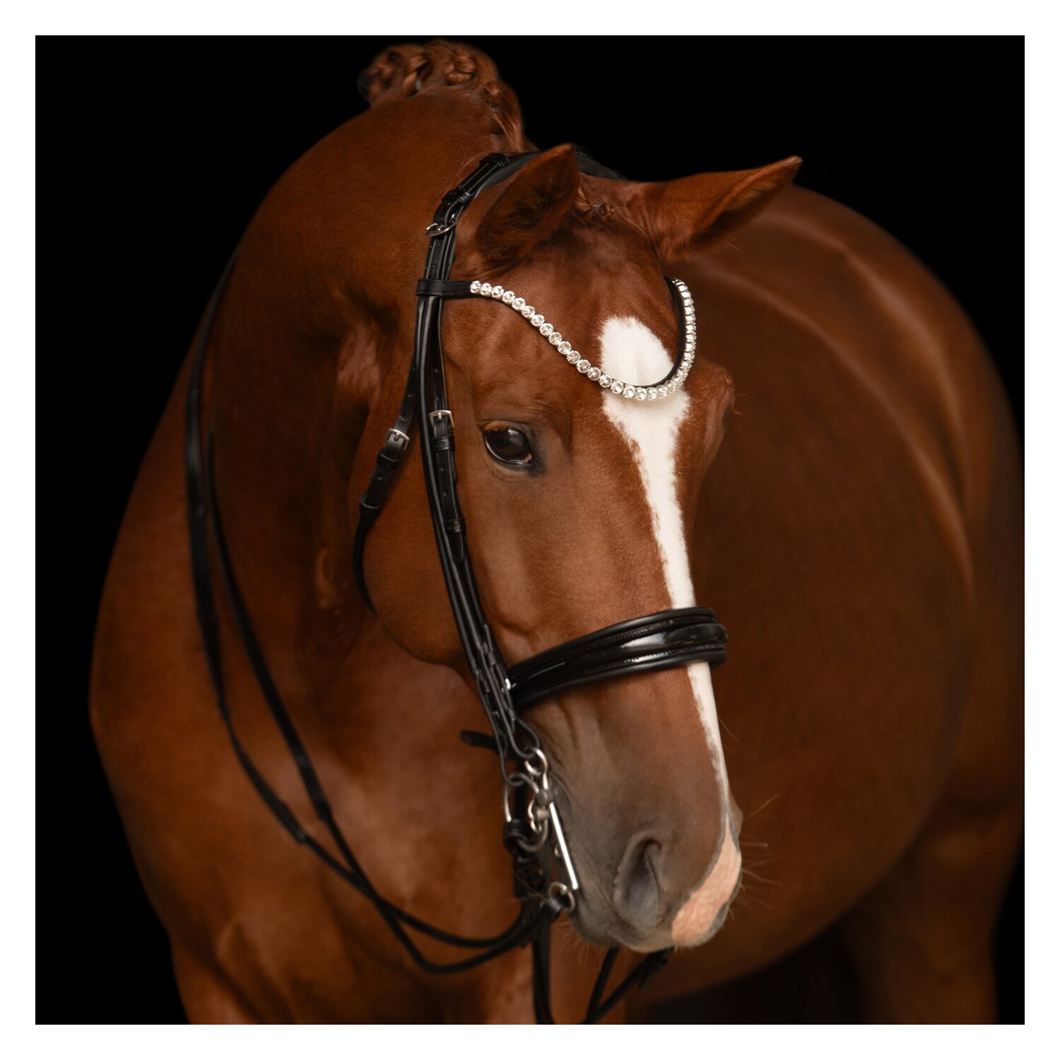 kieffer Kandarenzaum Faye – Ansicht 1