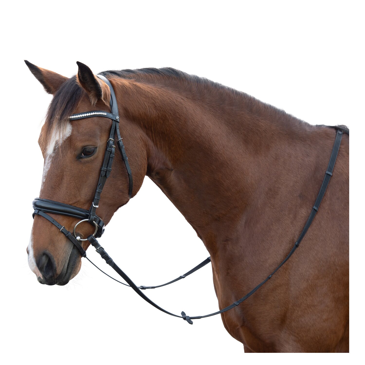 MONTIVUM Trensenzaum Nizza – Ansicht 2