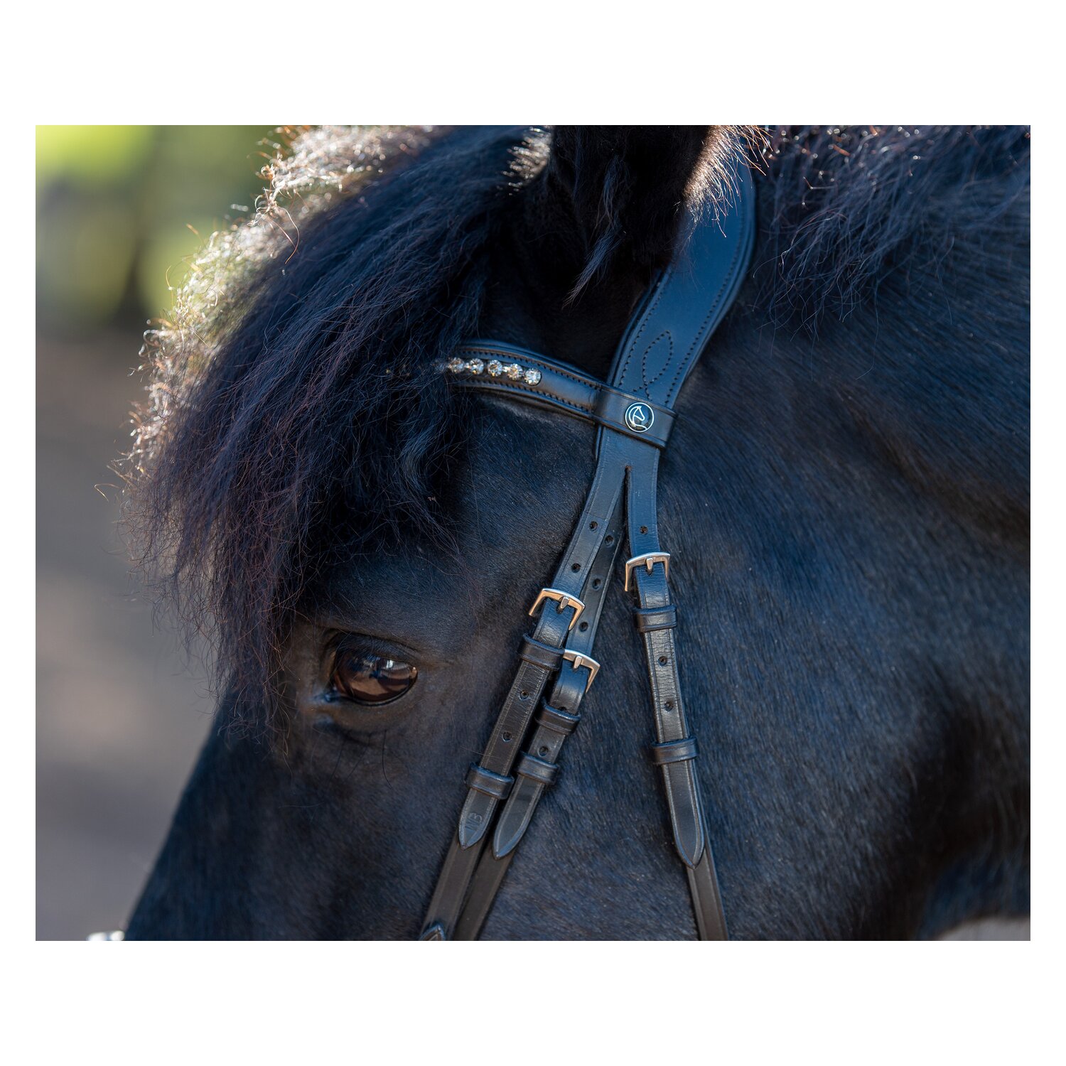 MONTIVUM Trensenzaum Messina – Ansicht 2