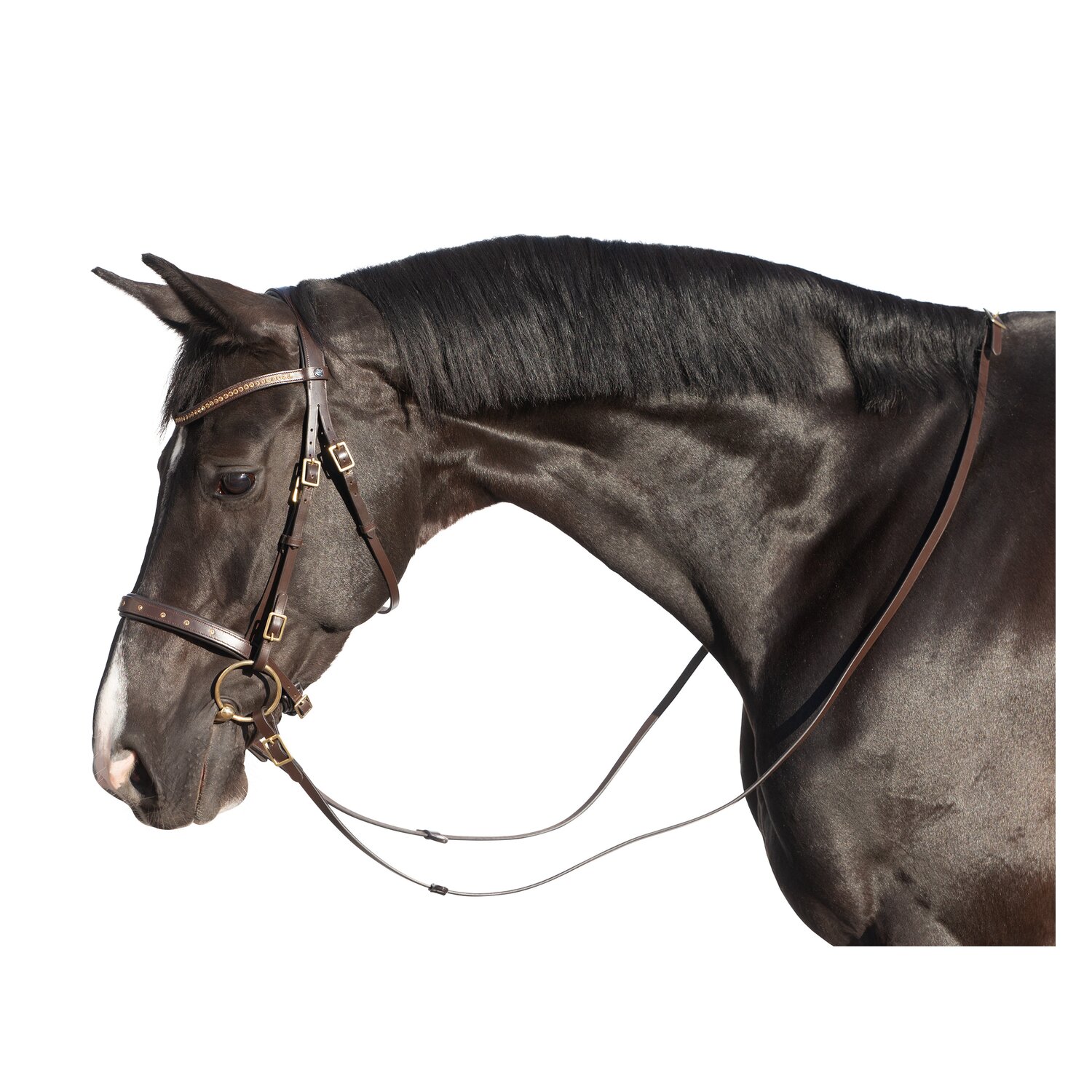 MONTIVUM Trensenzaum Cádiz – Ansicht 2