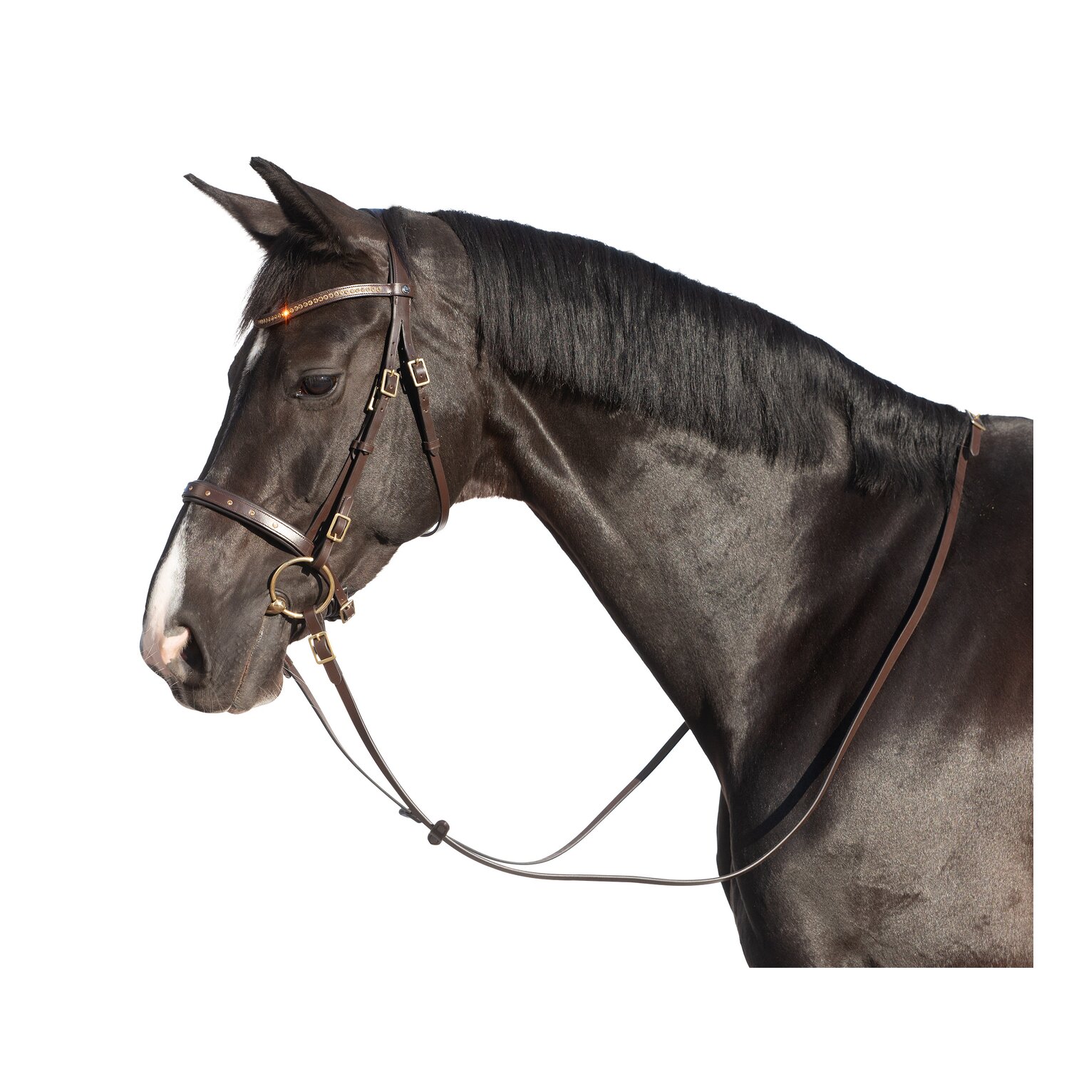 MONTIVUM Trensenzaum Cádiz – Ansicht 1