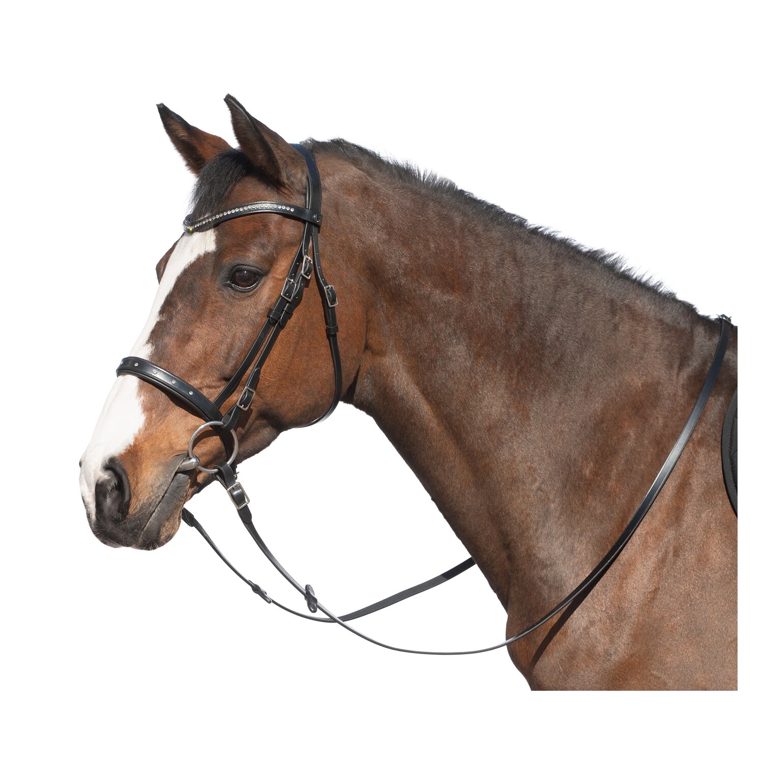 MONTIVUM Trensenzaum Cádiz – Ansicht 1