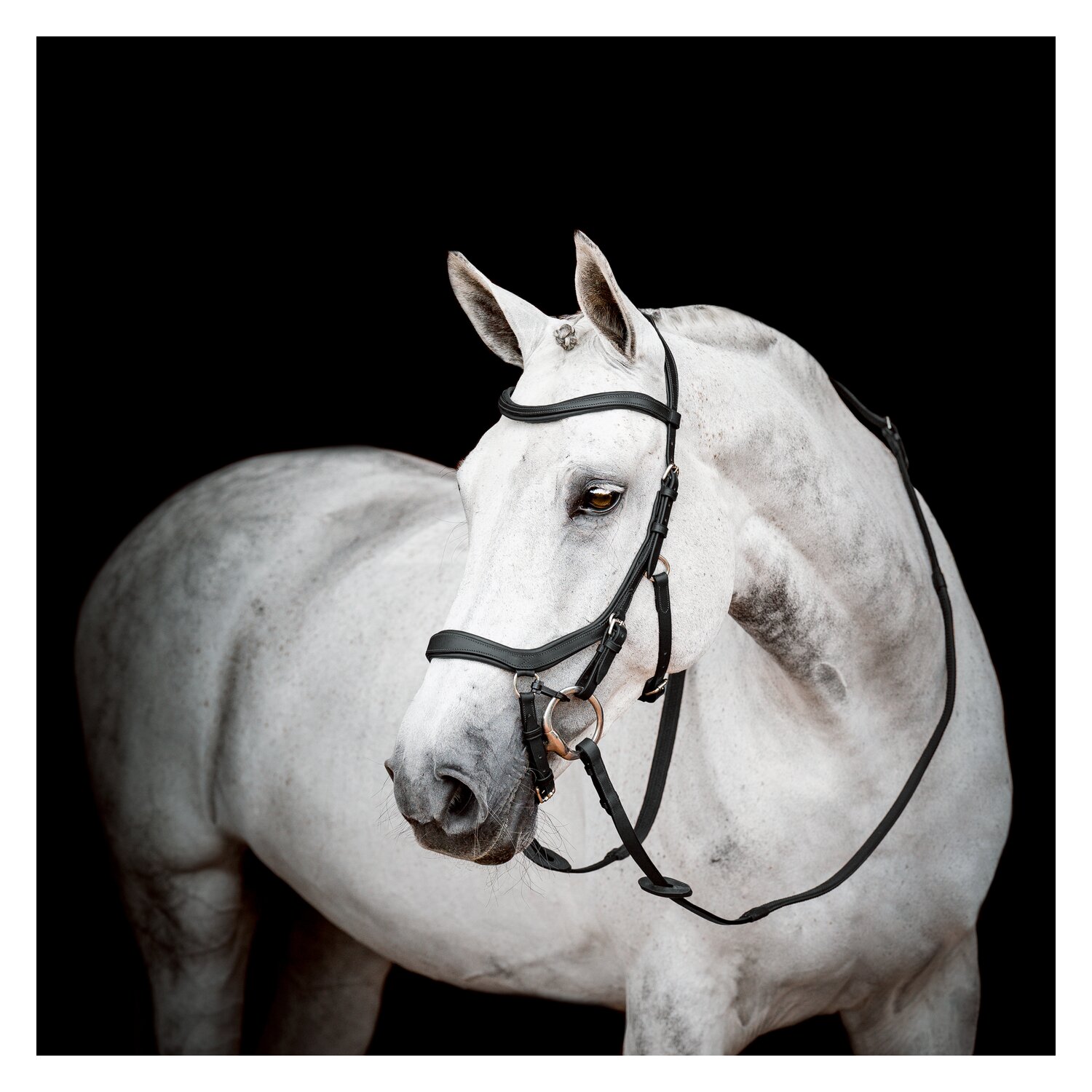 HORSEWARE Micklem Competition Bridle 3.0 – Ansicht 1