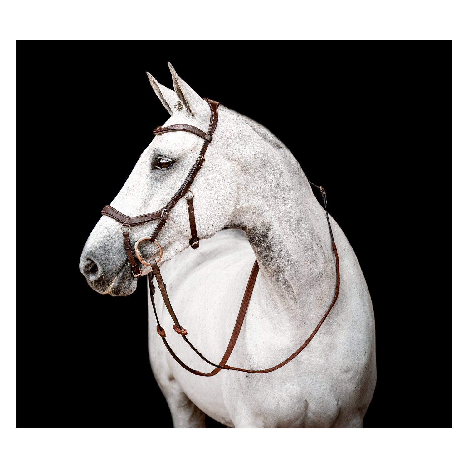 HORSEWARE Micklem Competition Bridle 3.0 &ndash; Ansicht 1
