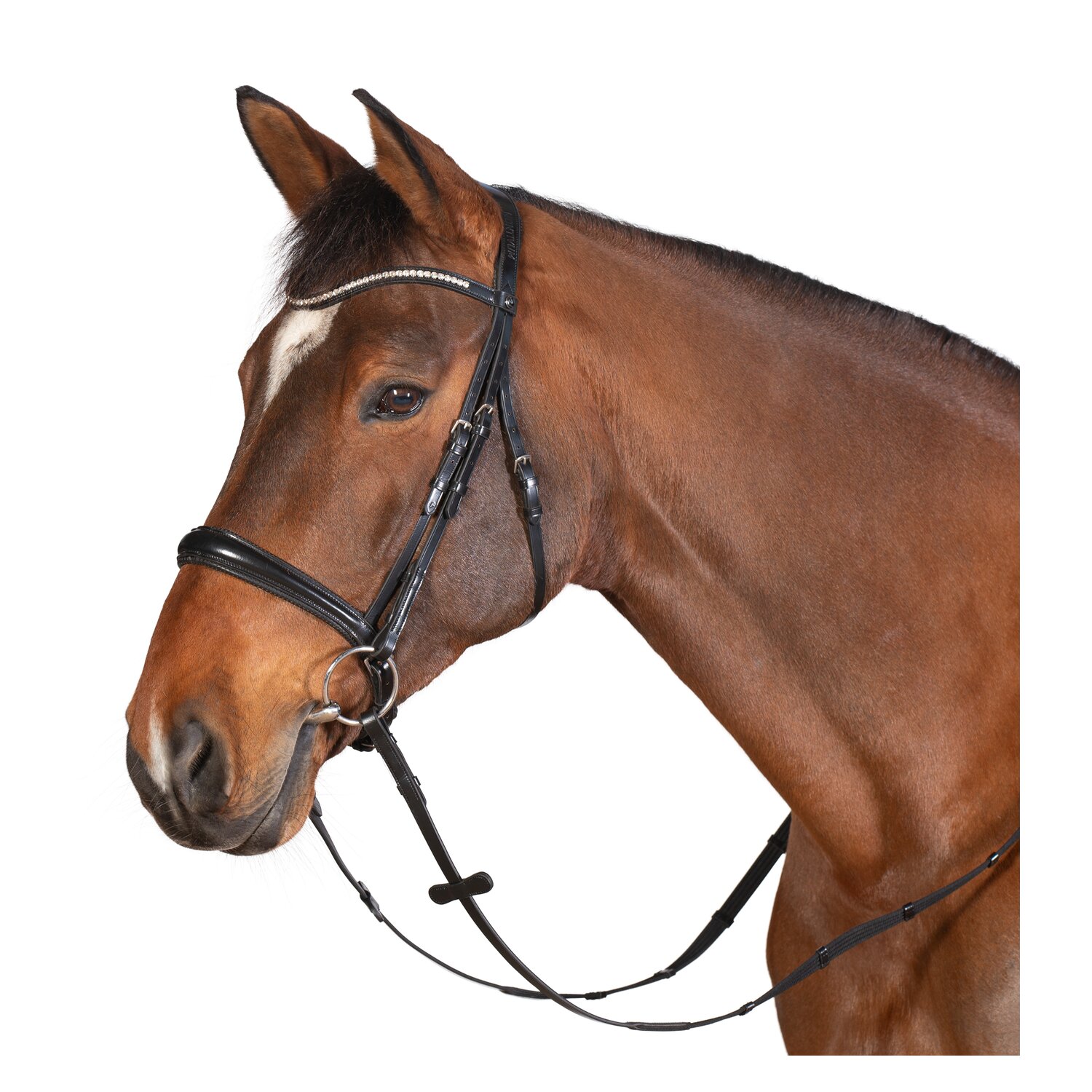 MONTIVUM Trensenzaum Bradford &ndash; Ansicht 1