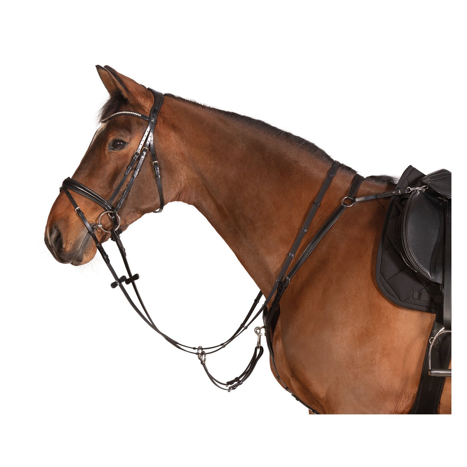 MONTIVUM Vorderzeug Bradford &ndash; Ansicht 2