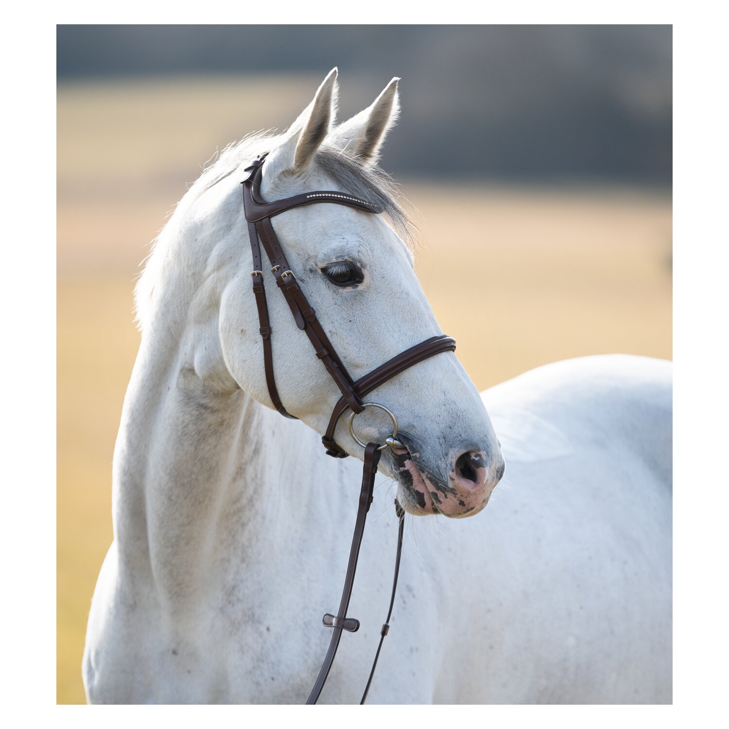 MONTIVUM Trensenzaum Napoli &ndash; Ansicht 7