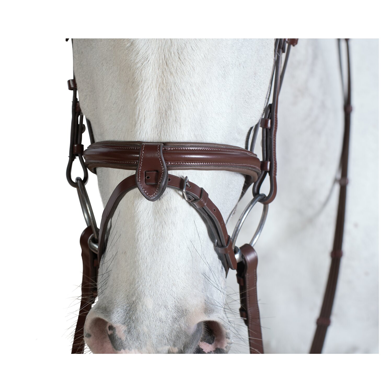 MONTIVUM Trensenzaum Napoli &ndash; Ansicht 6