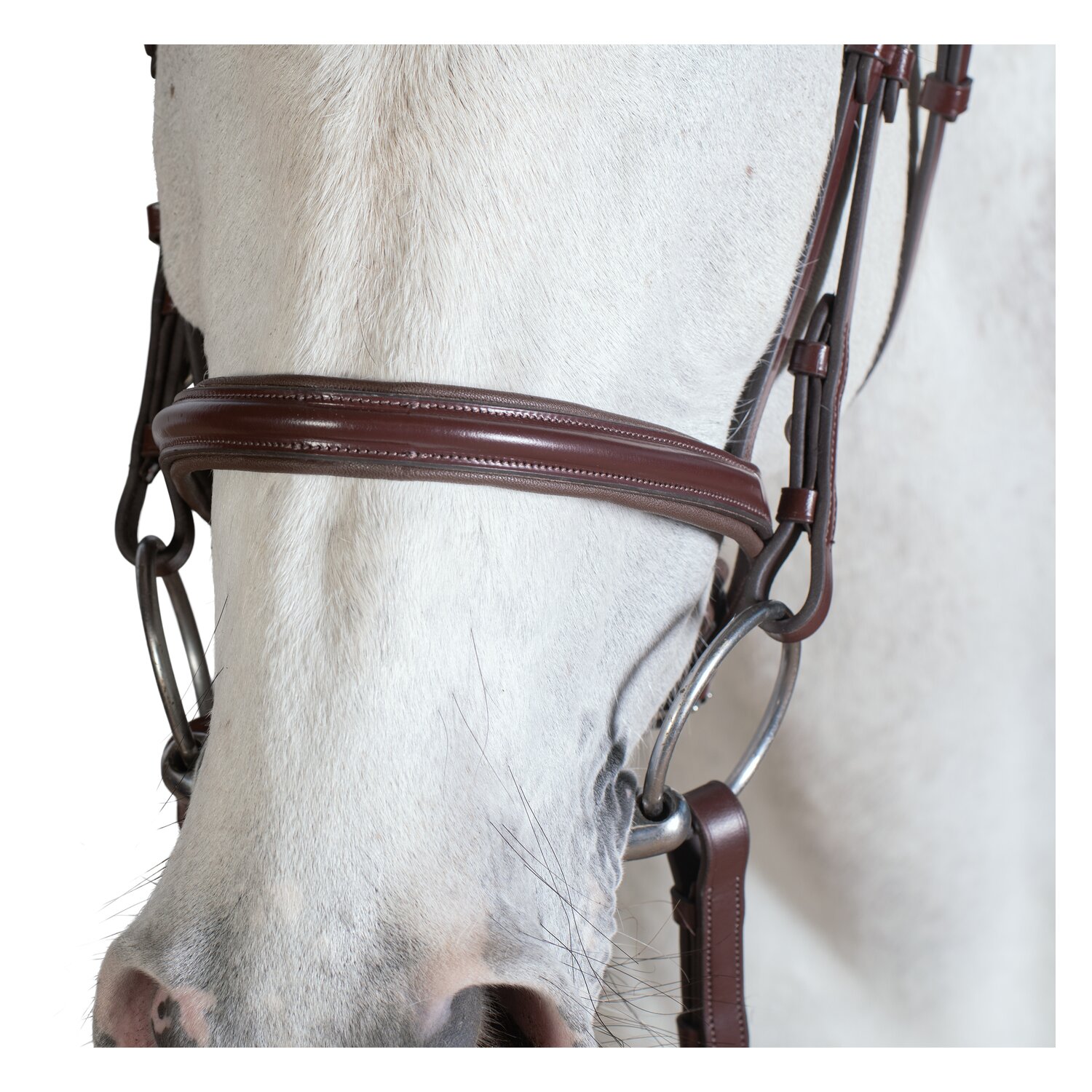 MONTIVUM Trensenzaum Napoli &ndash; Ansicht 5