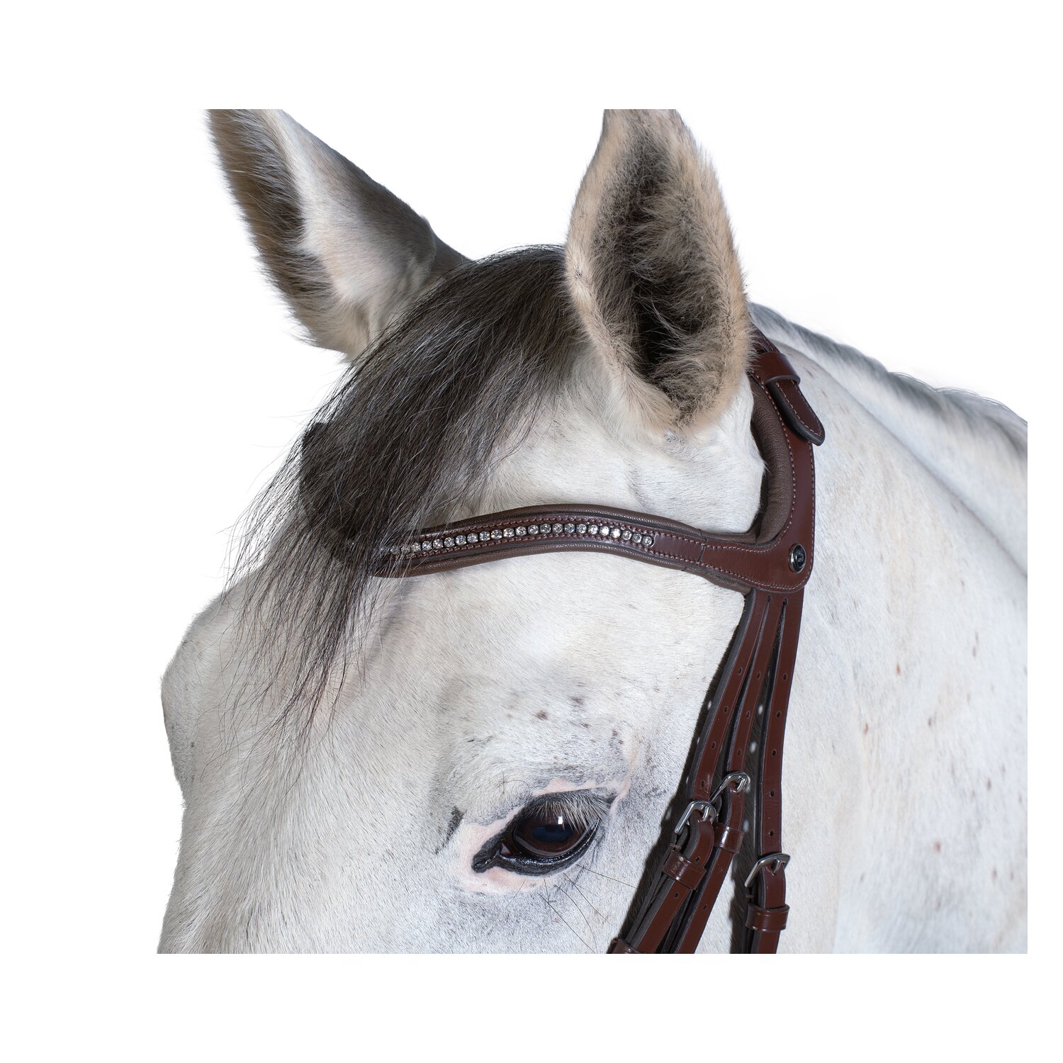 MONTIVUM Trensenzaum Napoli &ndash; Ansicht 4