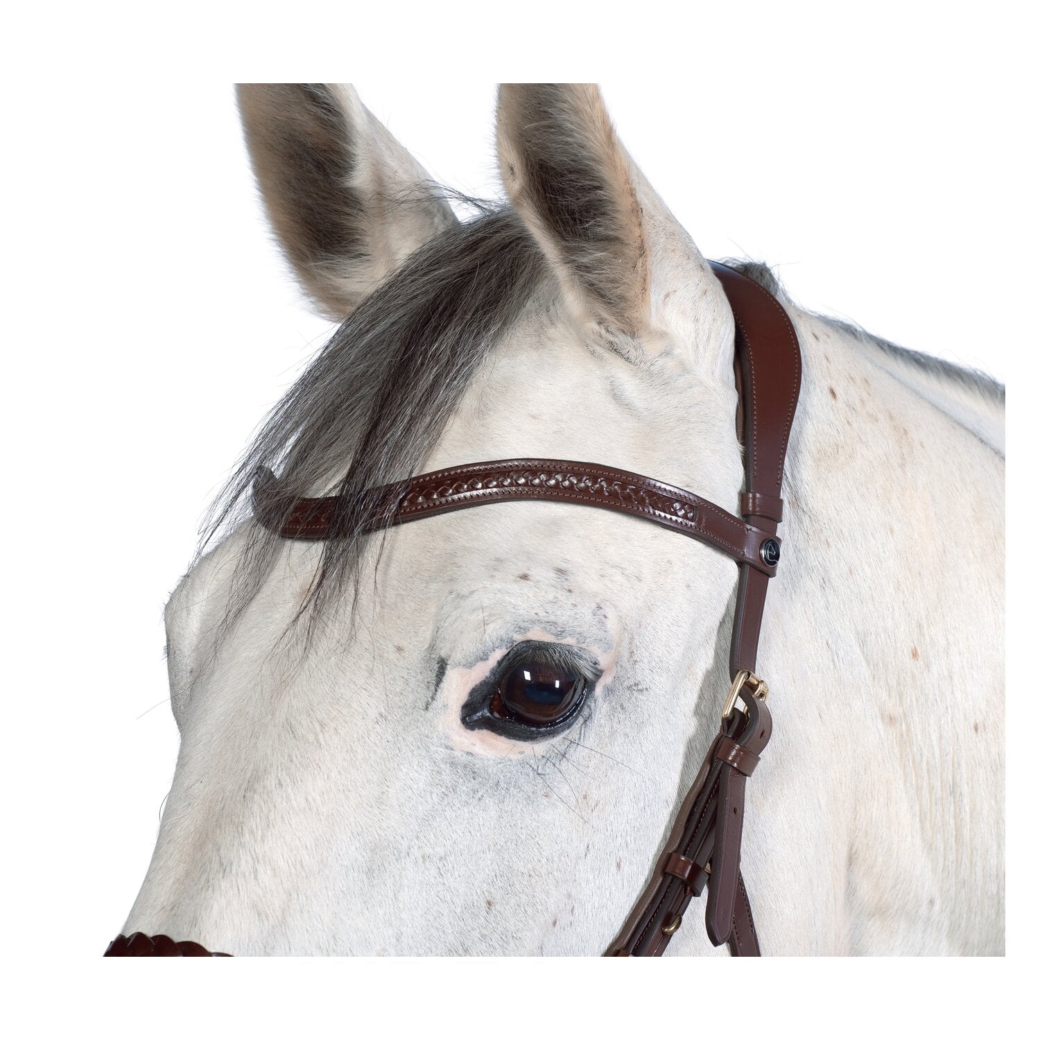 MONTIVUM Freizeittrensenzaum Kansas &ndash; Ansicht 2