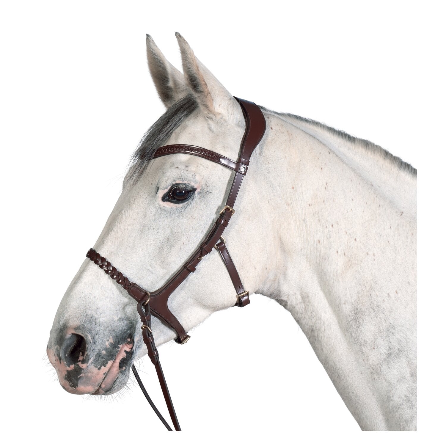 MONTIVUM Freizeittrensenzaum Kansas &ndash; Ansicht 1