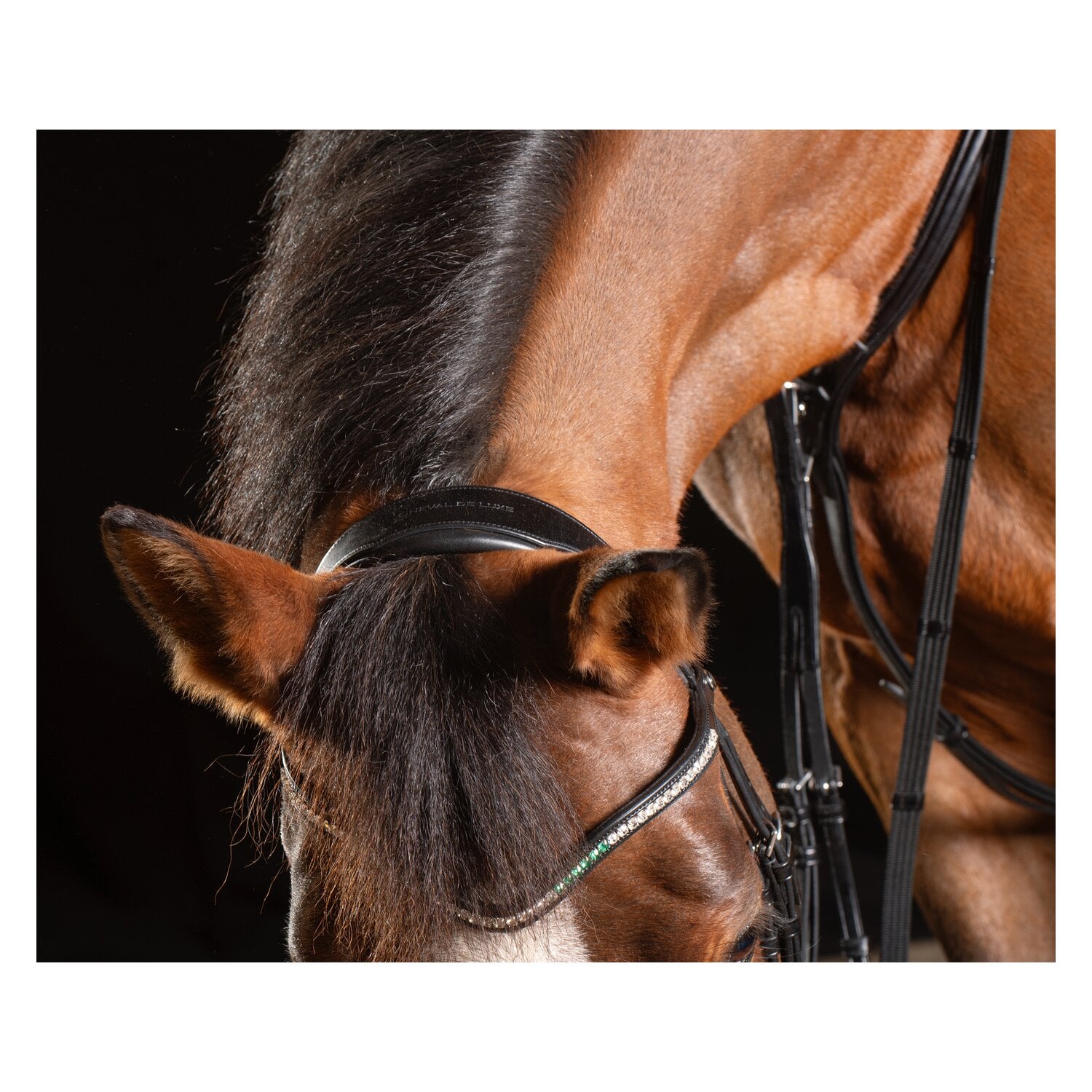 Cheval de Luxe Trensenzaum Dijon &ndash; Ansicht 4