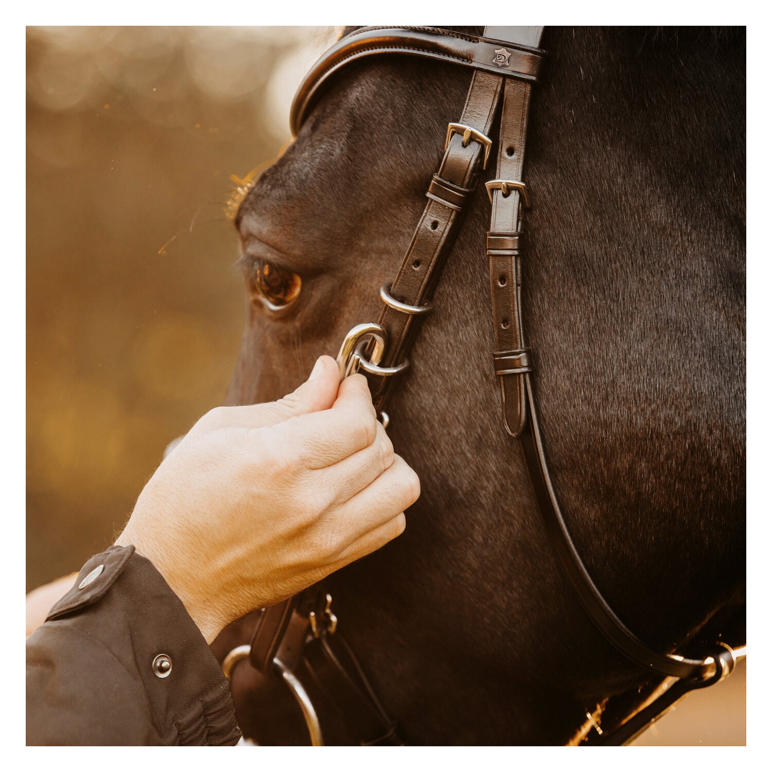 DÖBERT Wanderreitzaum Kiel – Ansicht 4