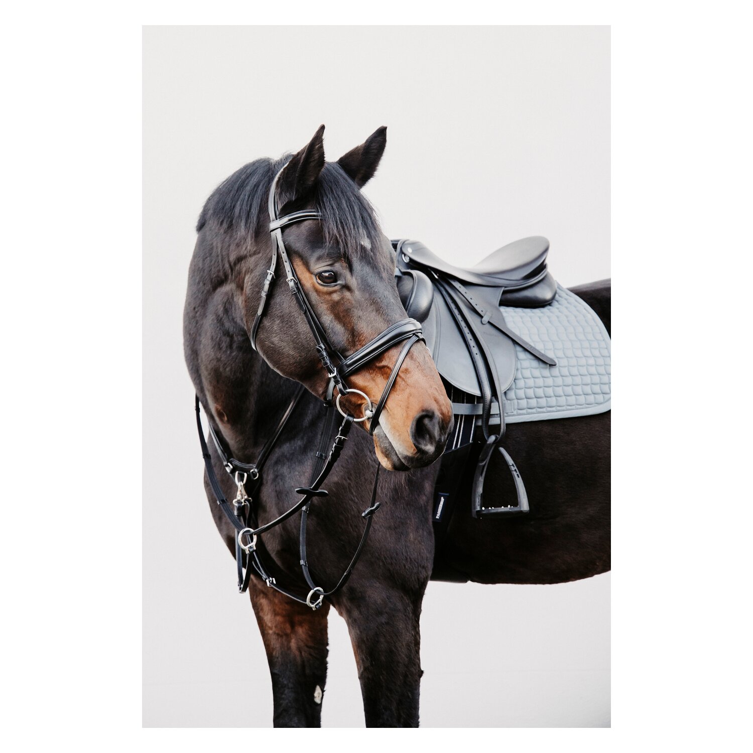 DÖBERT Trensenzaum Köln – Ansicht 5