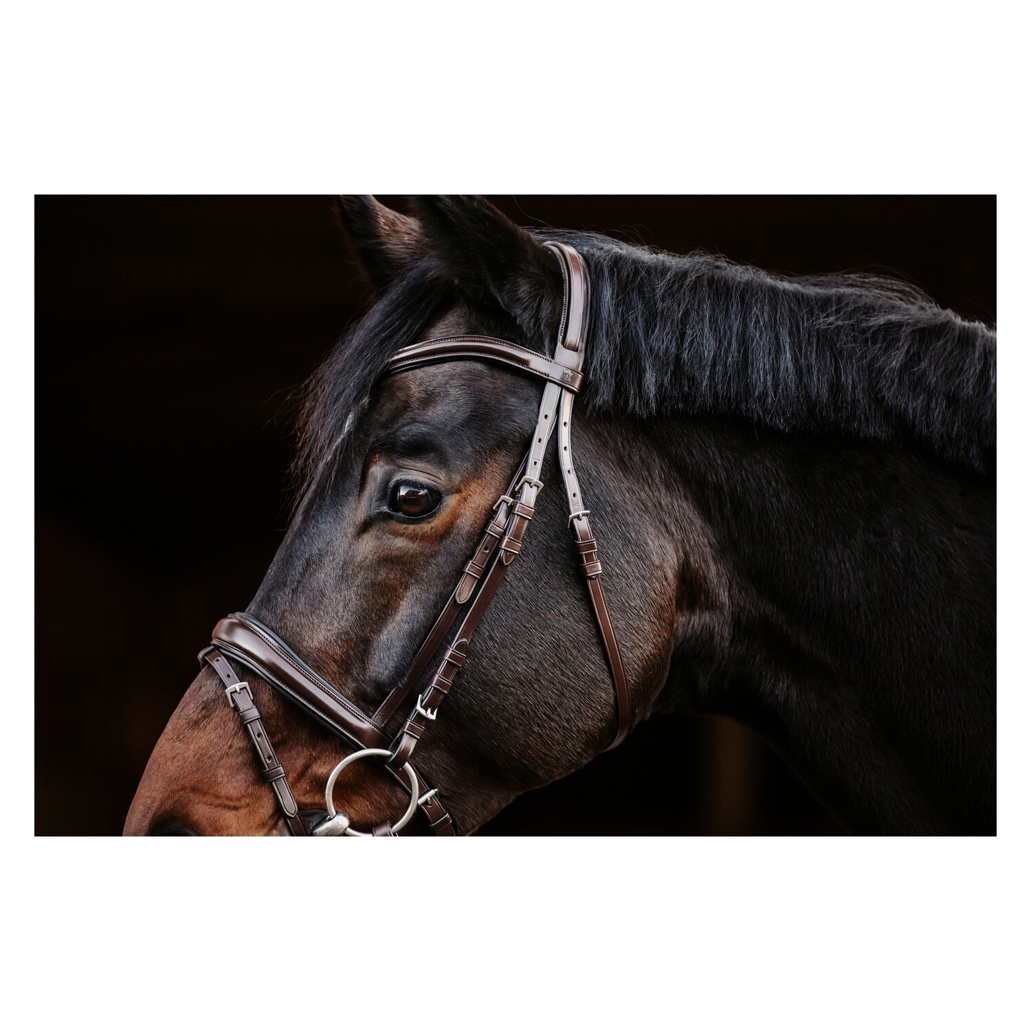 DÖBERT Trensenzaum Köln – Ansicht 3