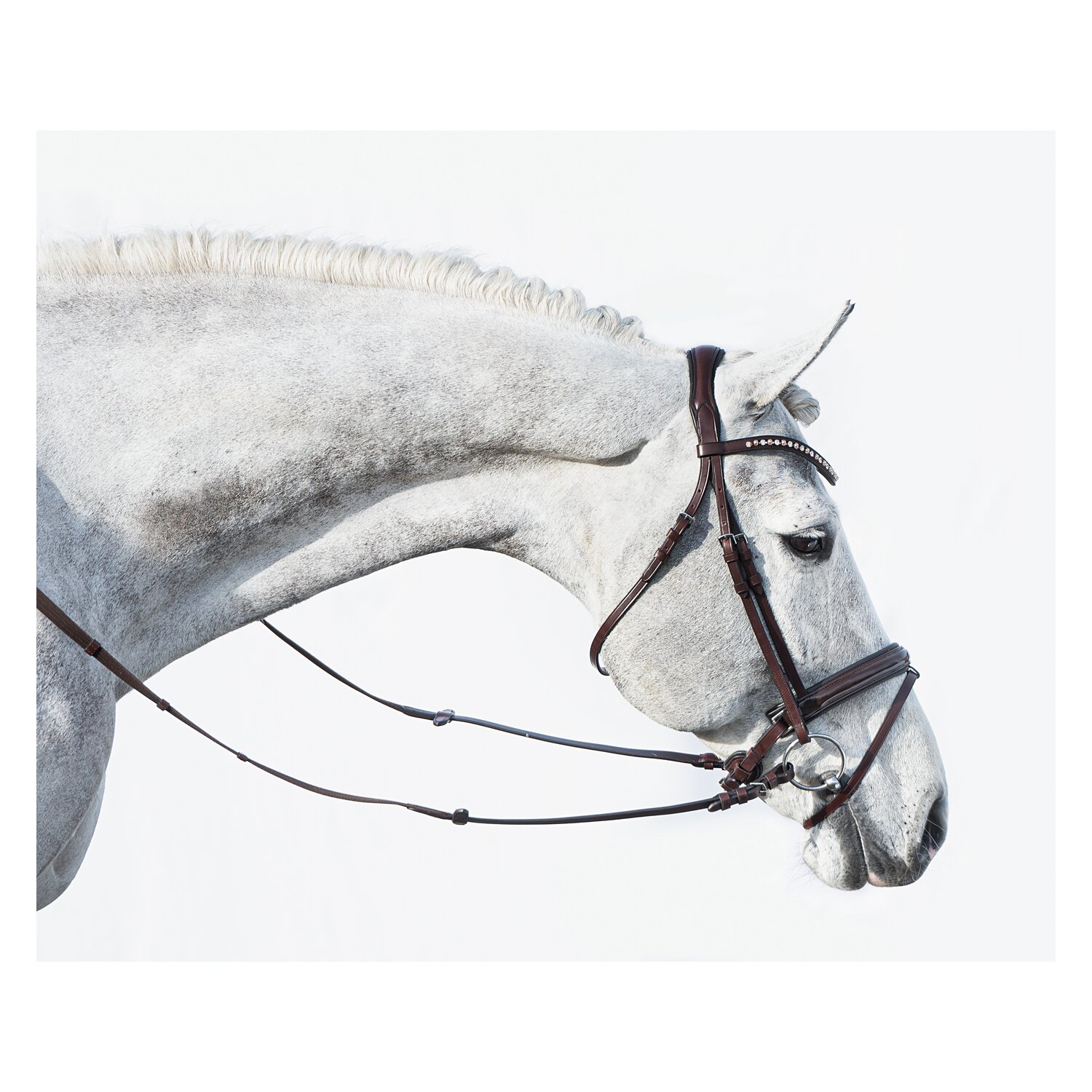 DÖBERT Trensenzaum Mainz – Ansicht 1