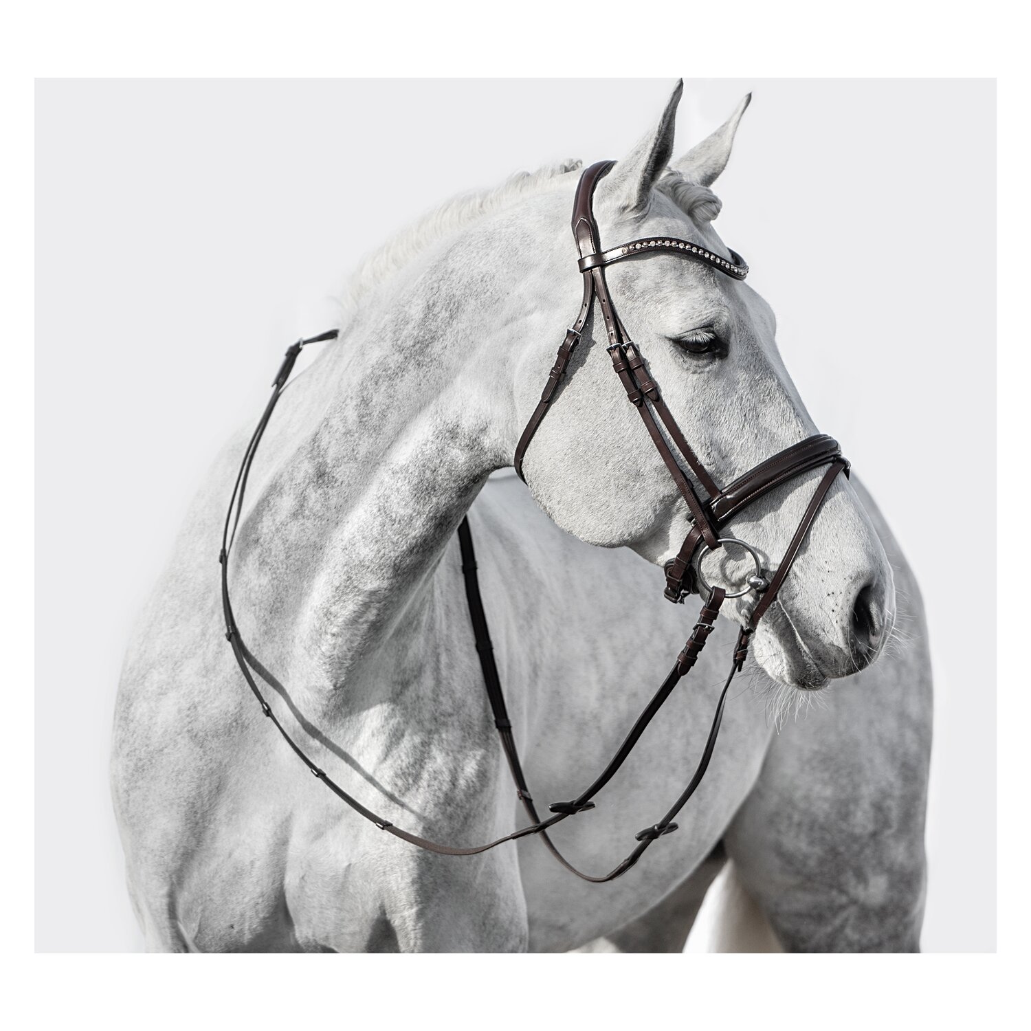 DÖBERT Trensenzaum Mainz – Ansicht 3