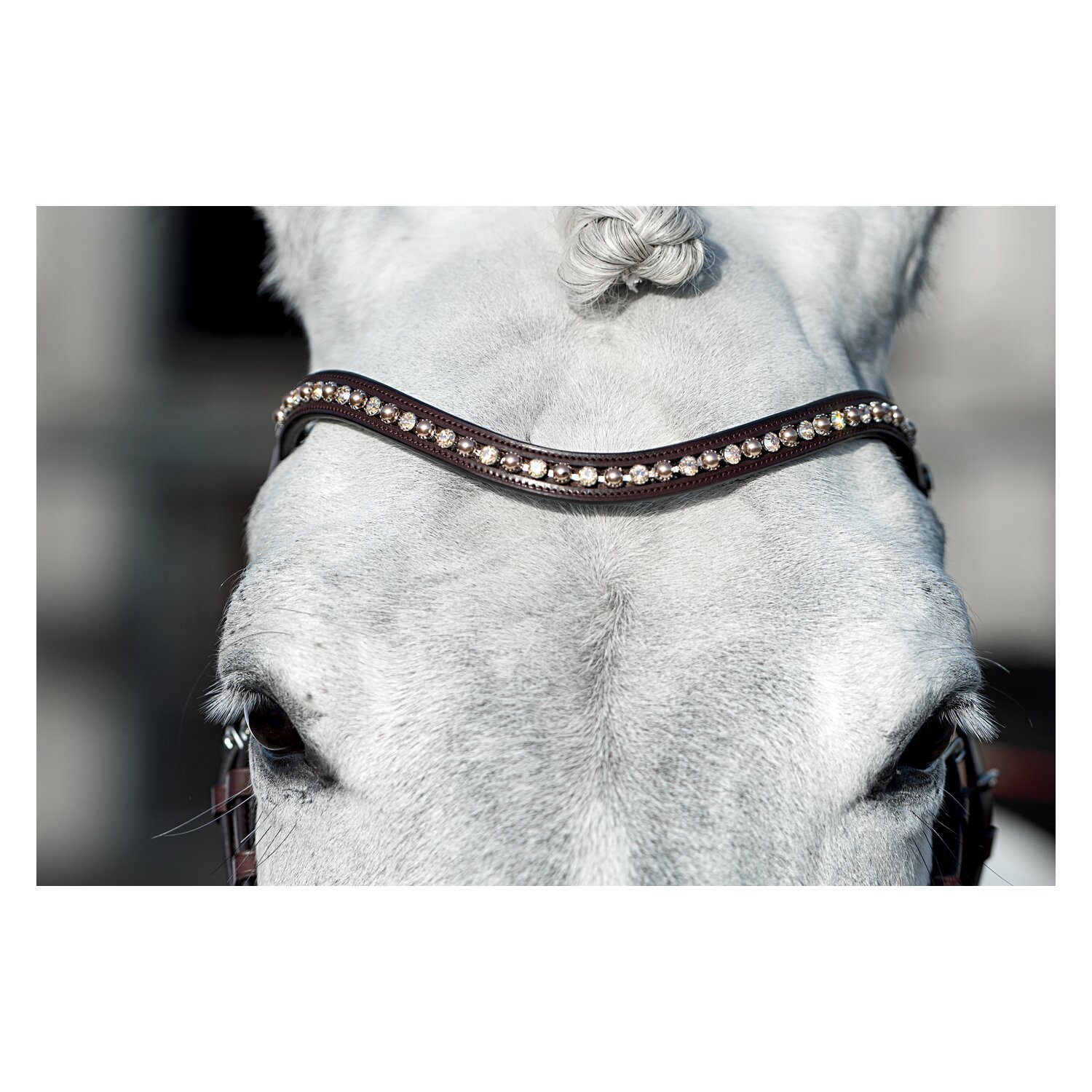 DÖBERT Trensenzaum Mainz – Ansicht 5