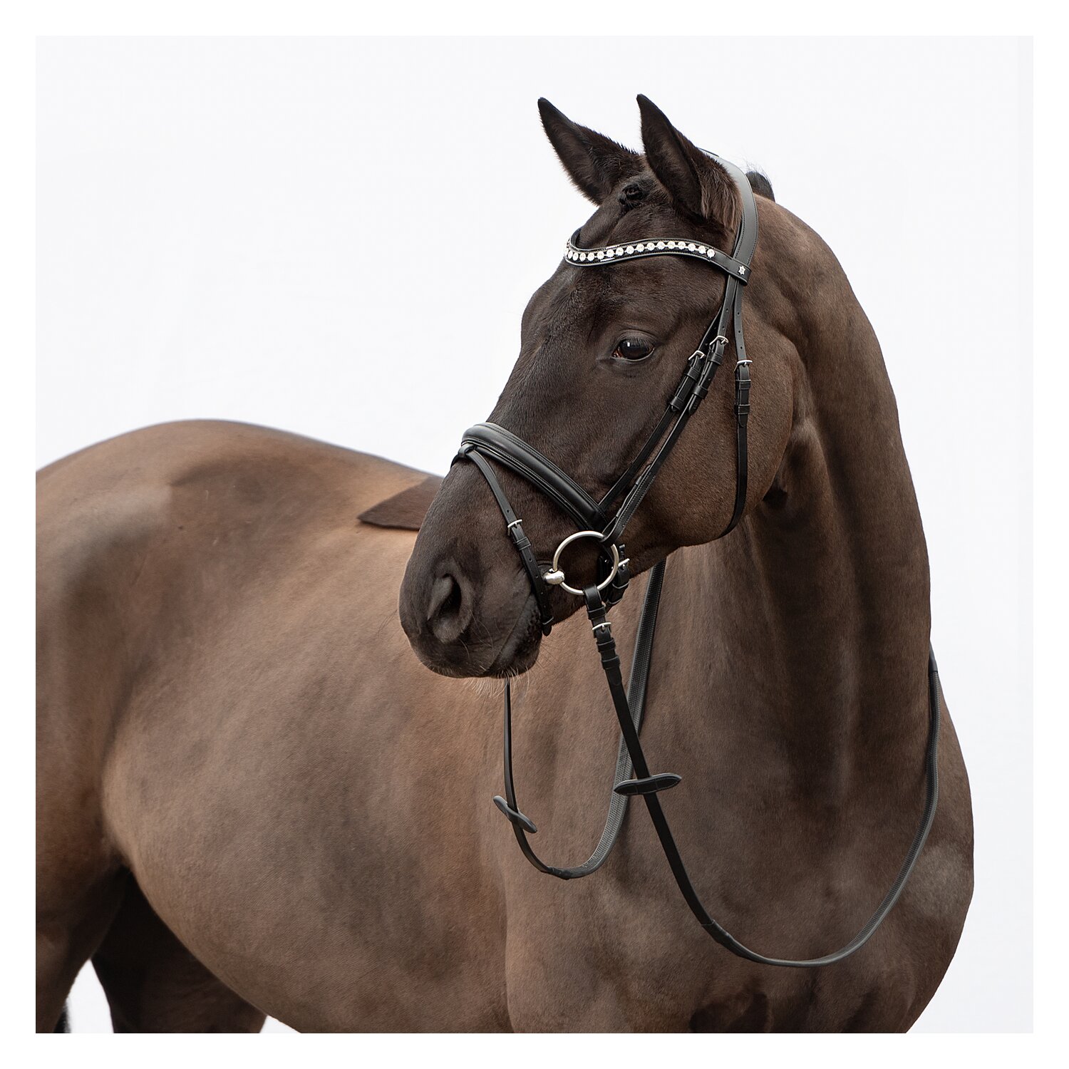 DÖBERT Trensenzaum Hamburg – Ansicht 3