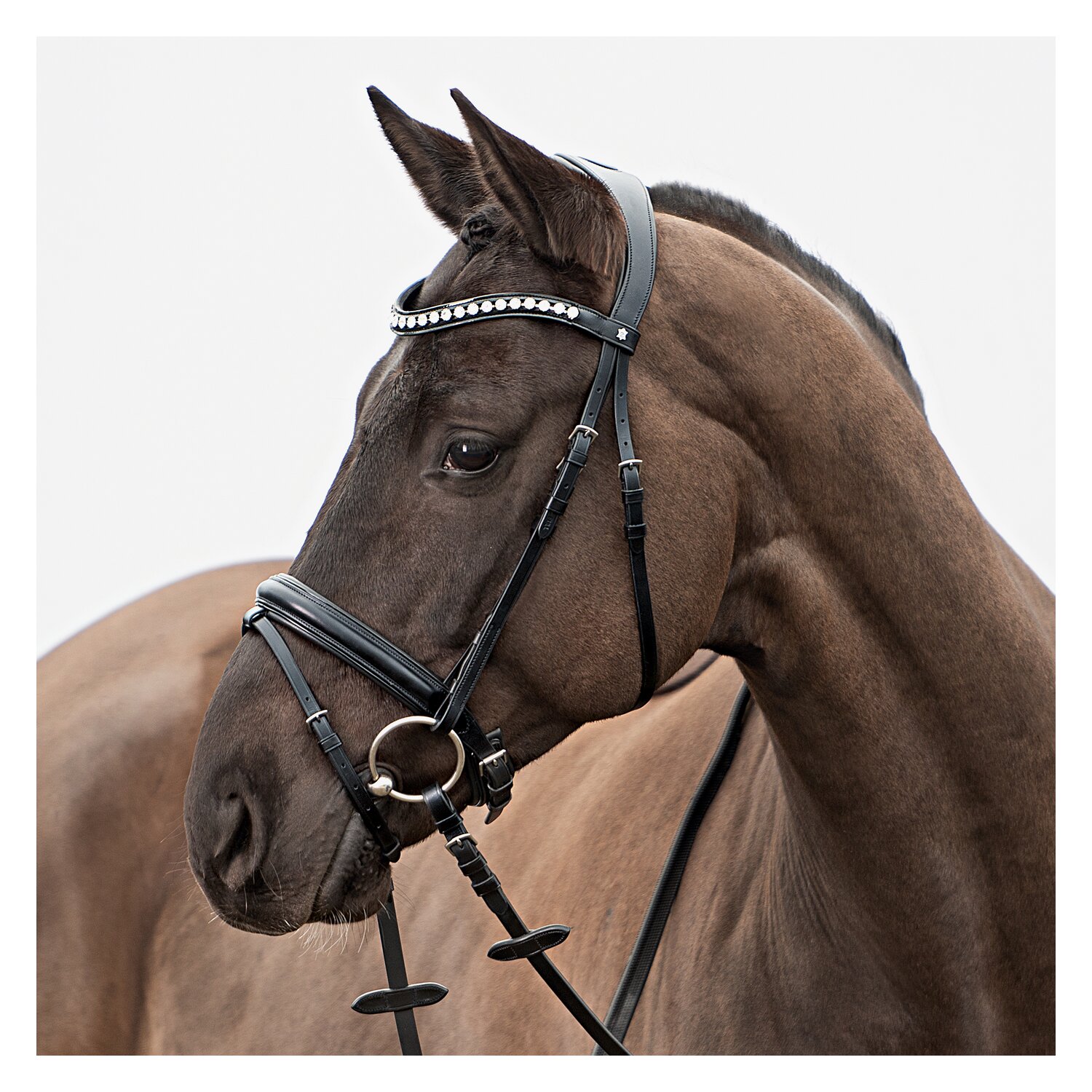 DÖBERT Trensenzaum Hamburg – Ansicht 1