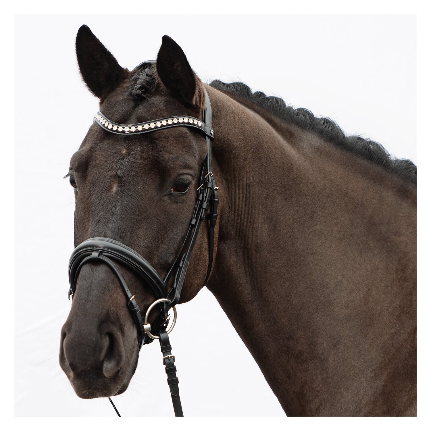 DÖBERT Trensenzaum Hamburg – Ansicht 4