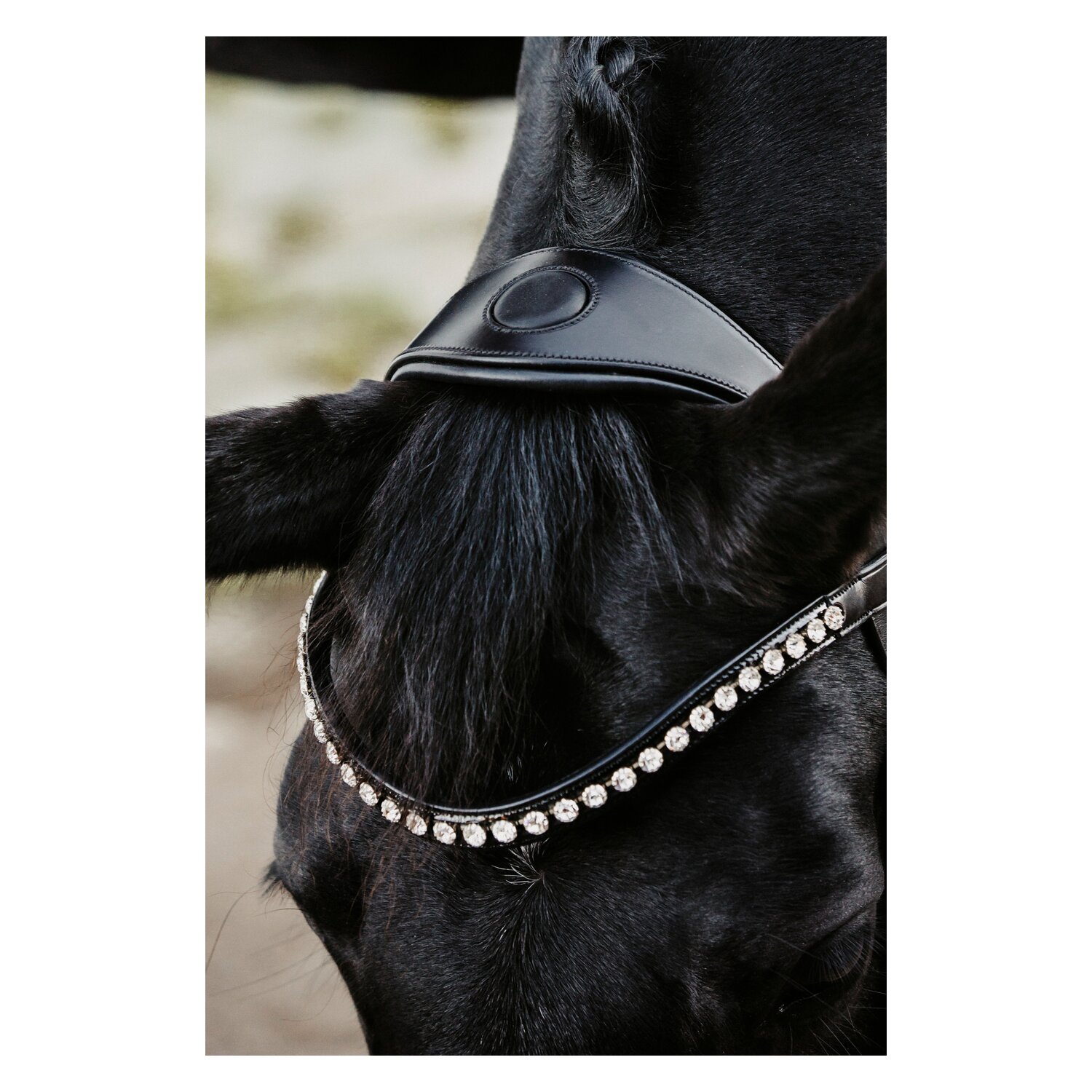 DÖBERT Trensenzaum Hamburg – Ansicht 6