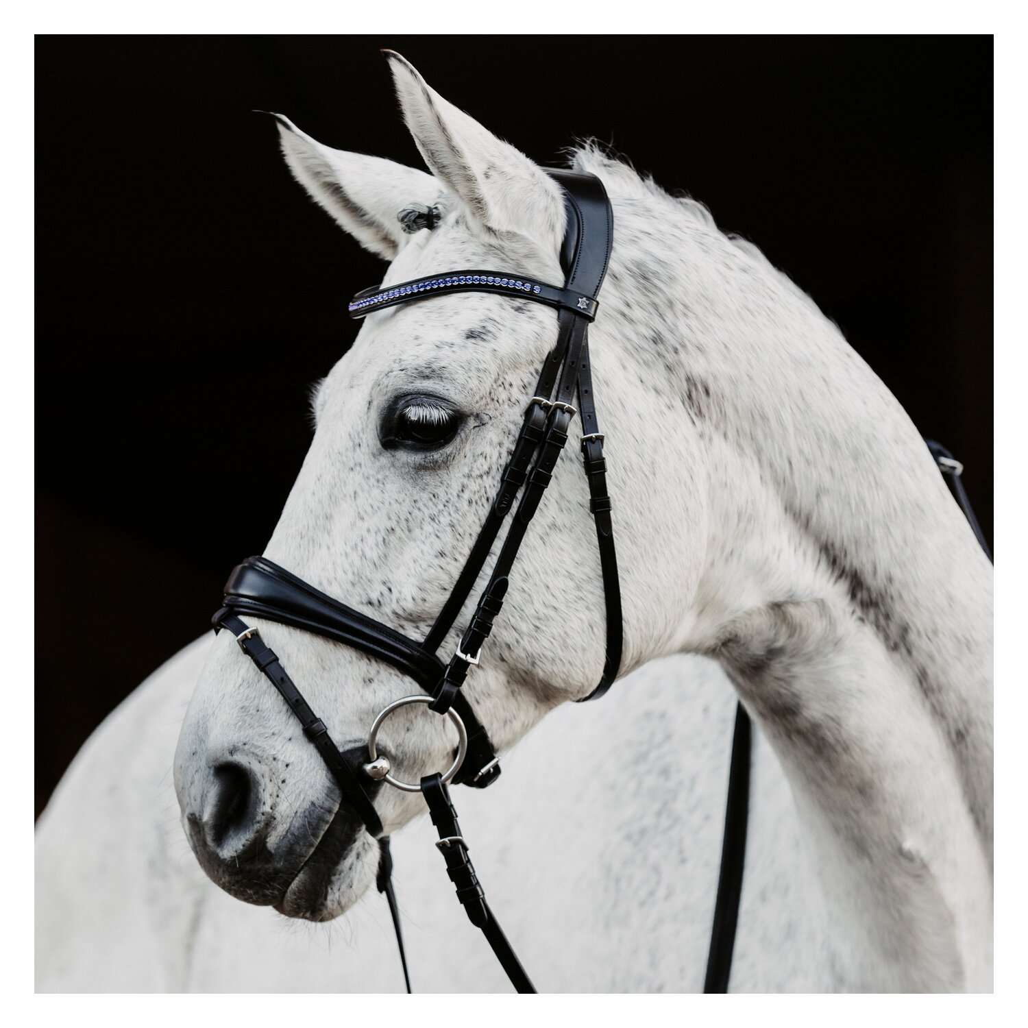 DÖBERT Trensenzaum Leipzig – Ansicht 1