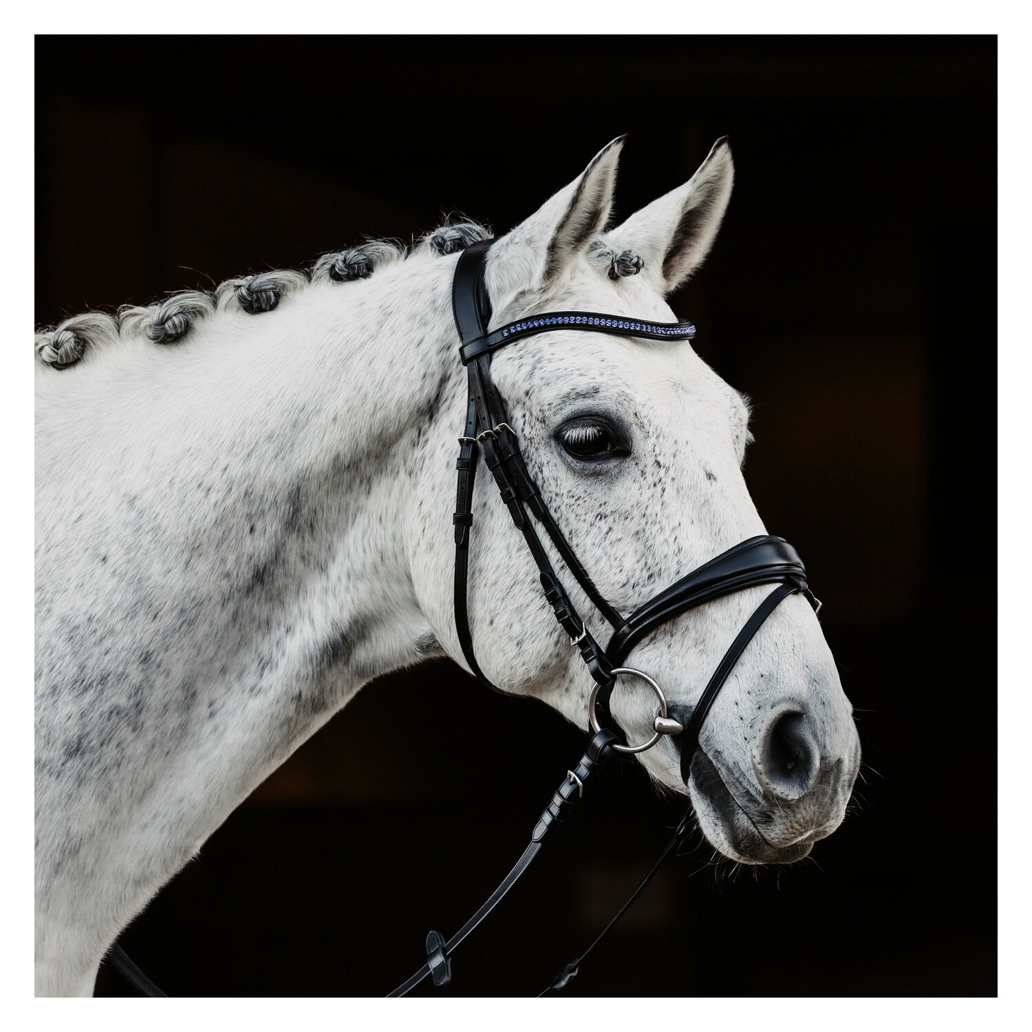 DÖBERT Trensenzaum Leipzig – Ansicht 2