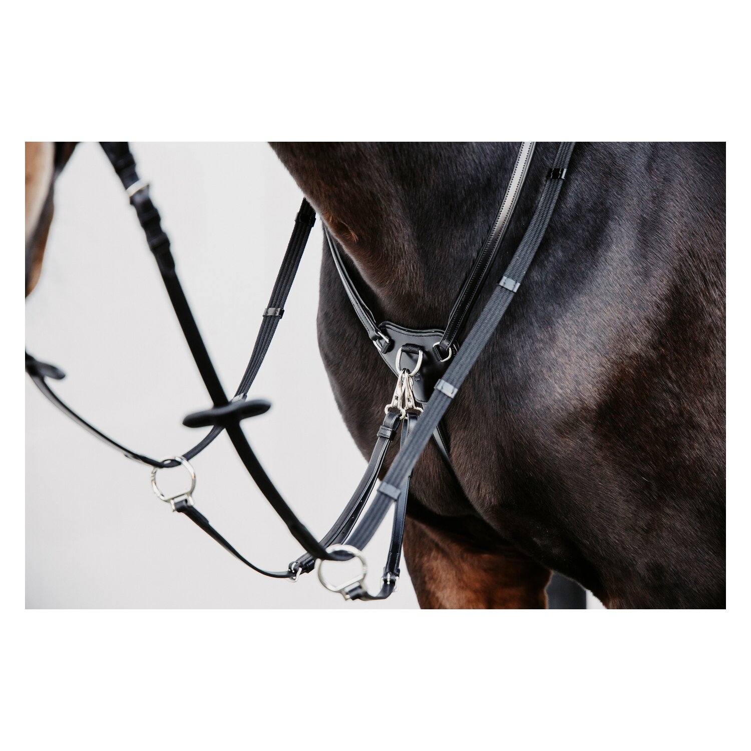 DÖBERT Martingal Bremen Premium – Ansicht 1