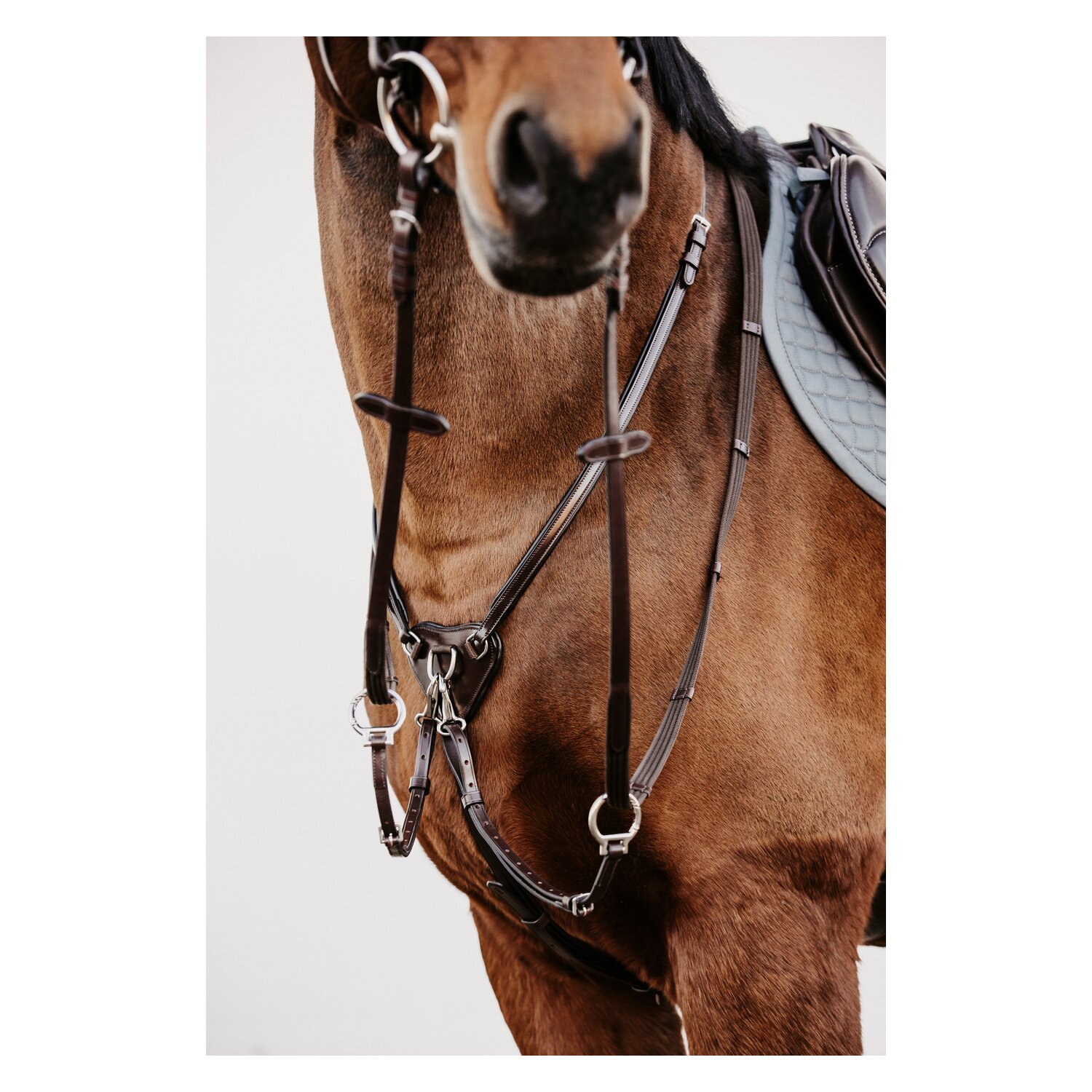 DÖBERT Martingal Bremen Premium – Ansicht 3