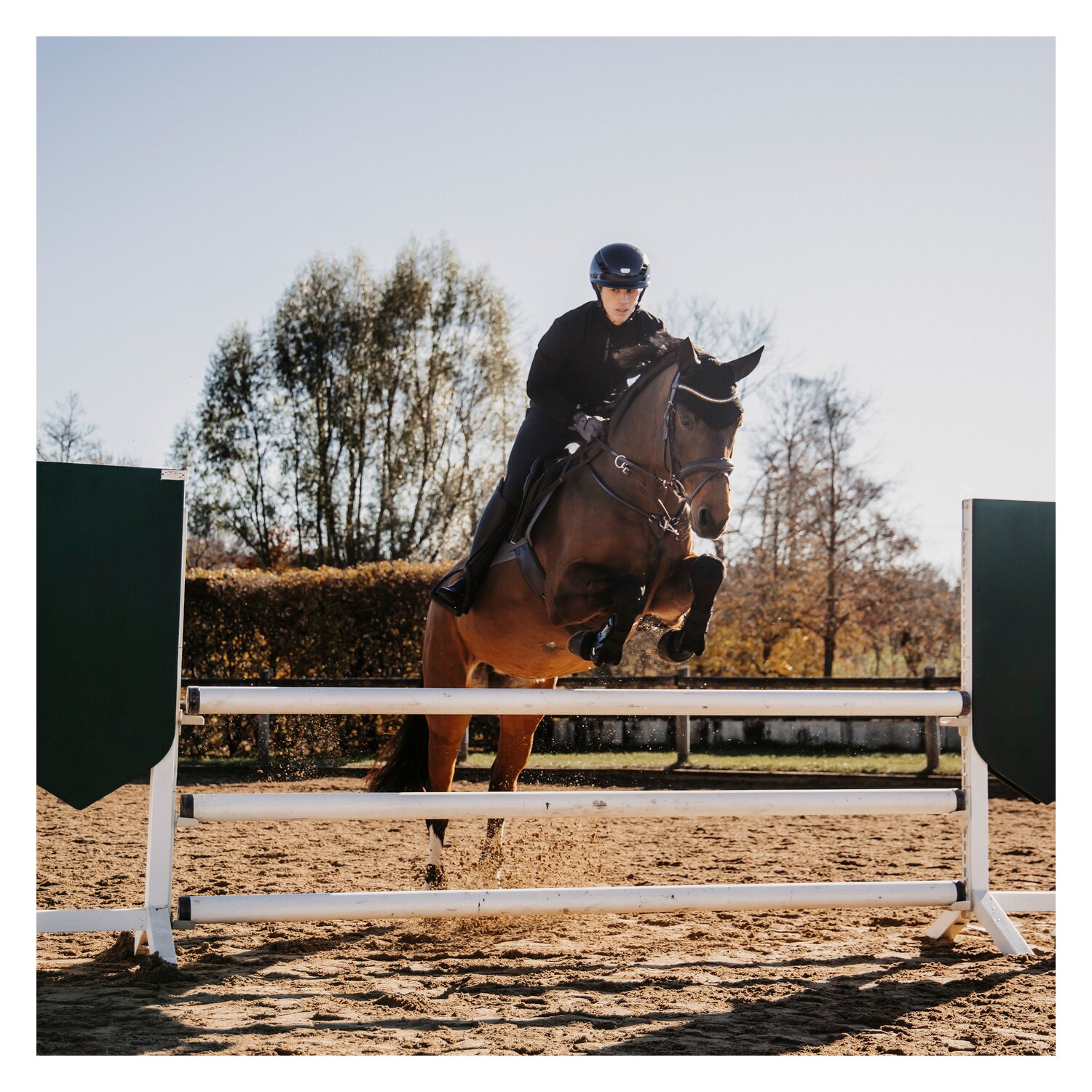 DÖBERT Trensenzaum München Premium – Ansicht 5