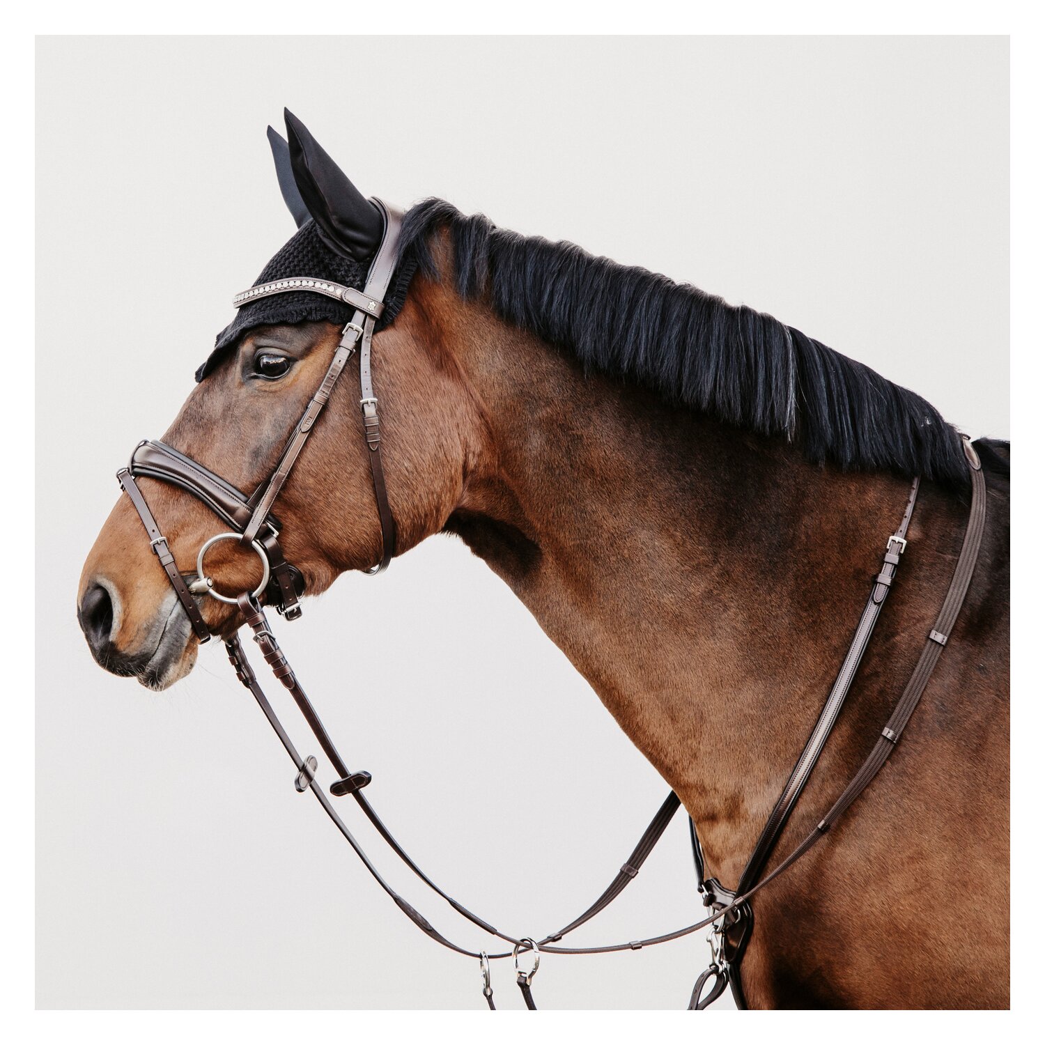 DÖBERT Trensenzaum München Premium – Ansicht 1