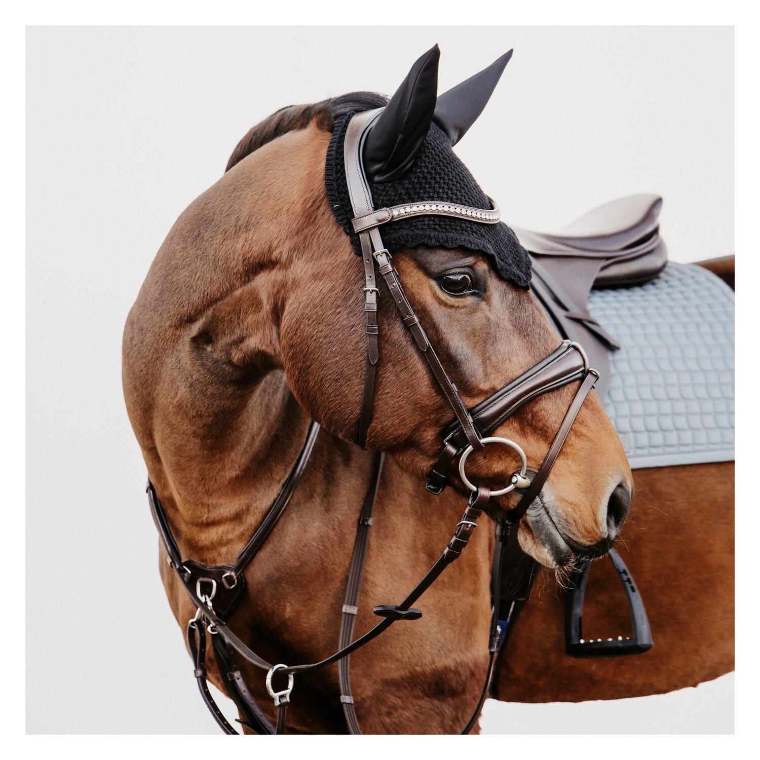 DÖBERT Trensenzaum München Premium – Ansicht 4