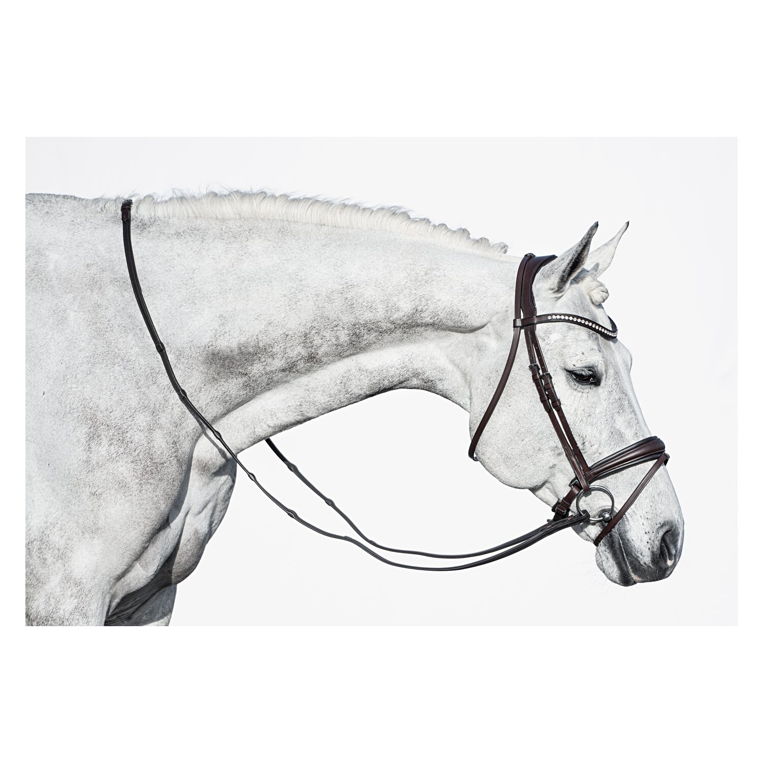 DÖBERT Trensenzaum Stuttgart Premium – Ansicht 2