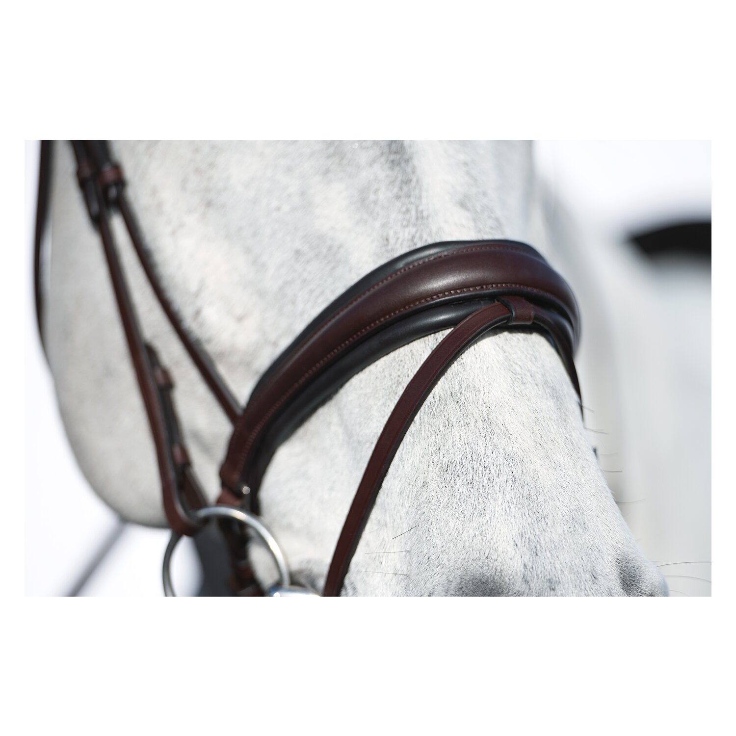 DÖBERT Trensenzaum Stuttgart Premium – Ansicht 4