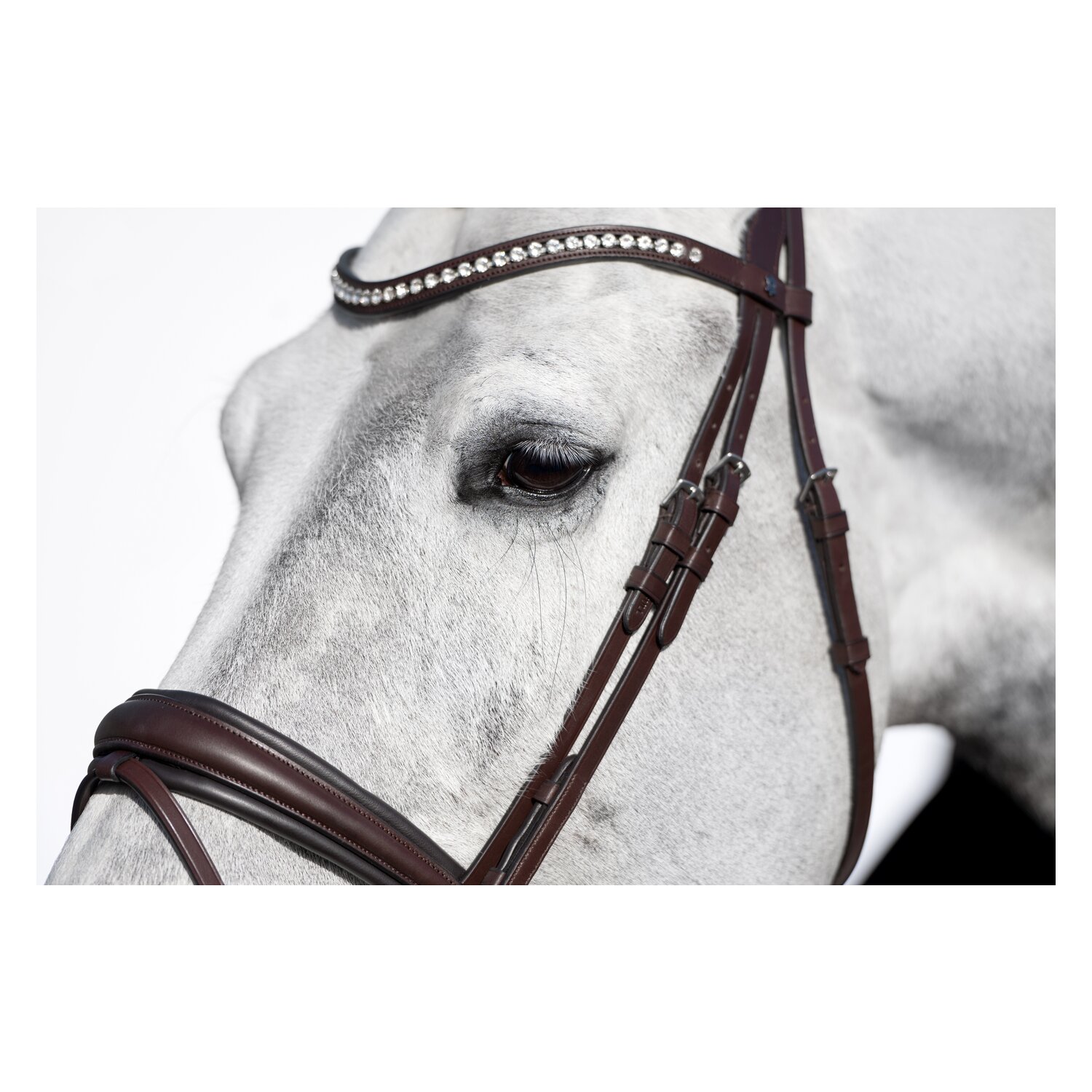 DÖBERT Trensenzaum Stuttgart Premium – Ansicht 5