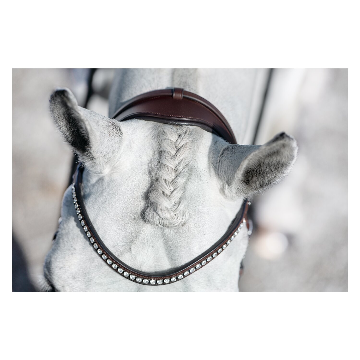 DÖBERT Trensenzaum Stuttgart Premium – Ansicht 3