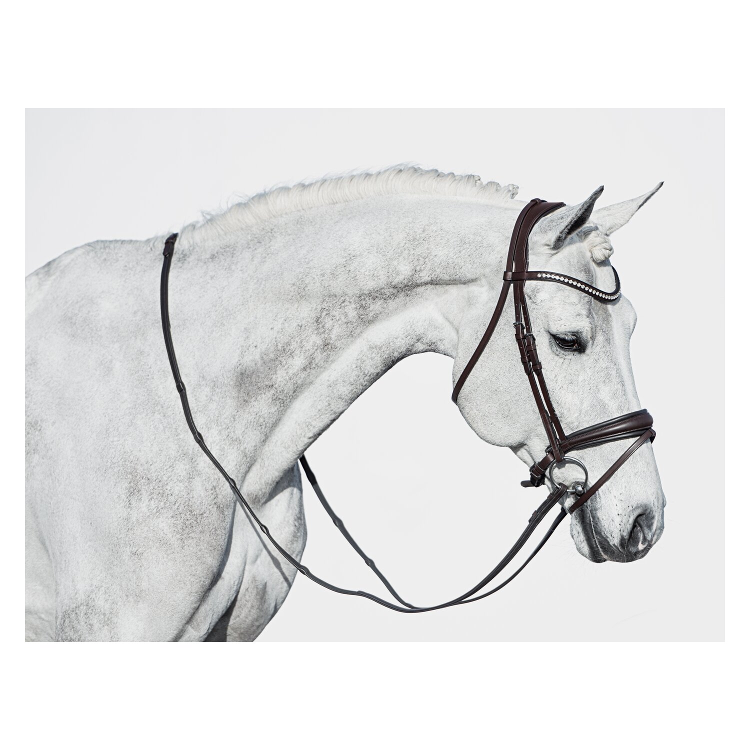 DÖBERT Trensenzaum Stuttgart Premium – Ansicht 1