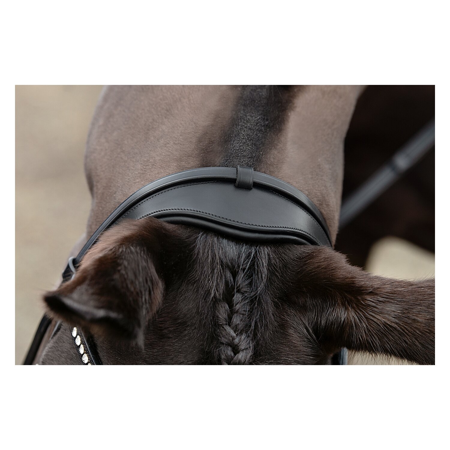 DÖBERT Trensenzaum Stuttgart Premium – Ansicht 3