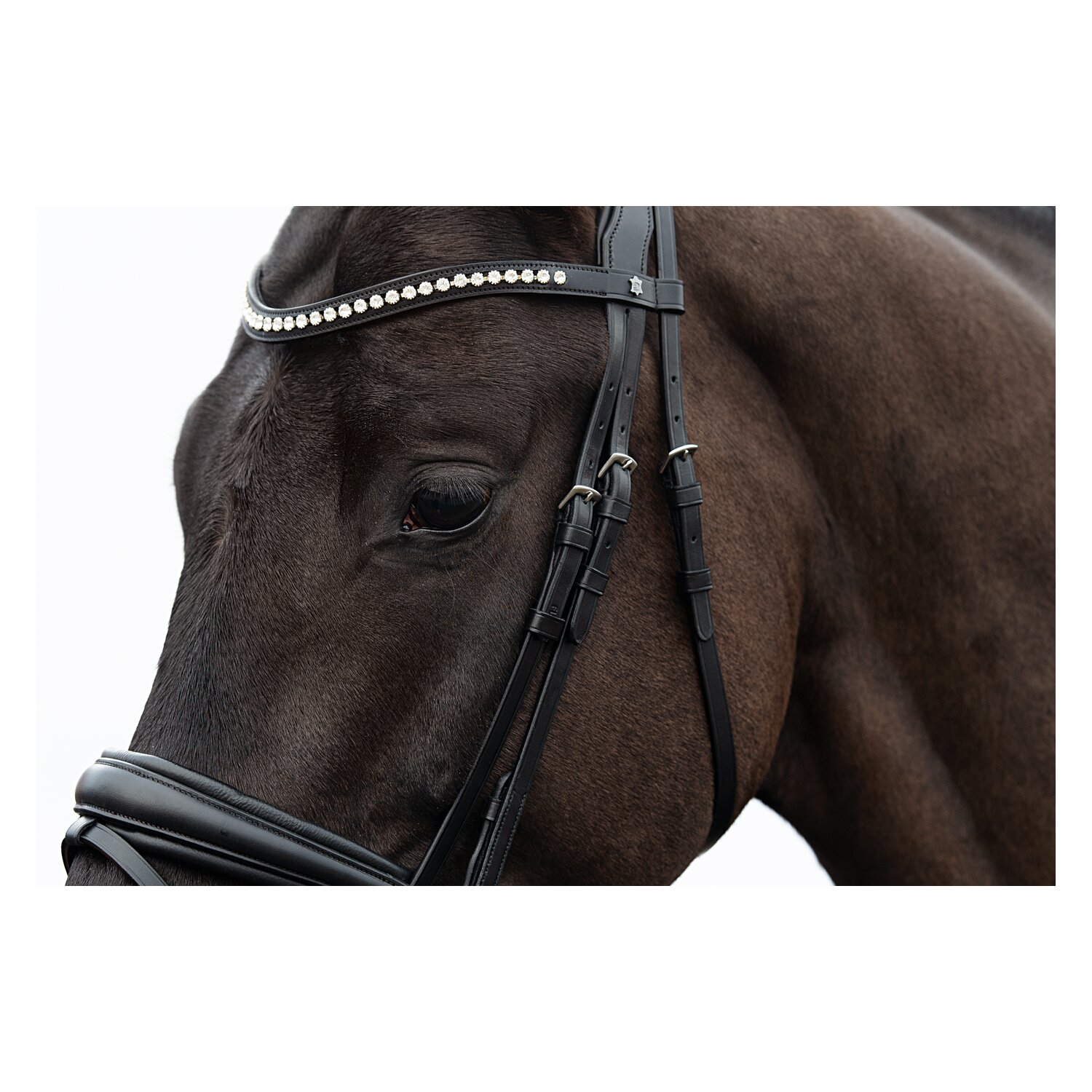 DÖBERT Trensenzaum Stuttgart Premium – Ansicht 2