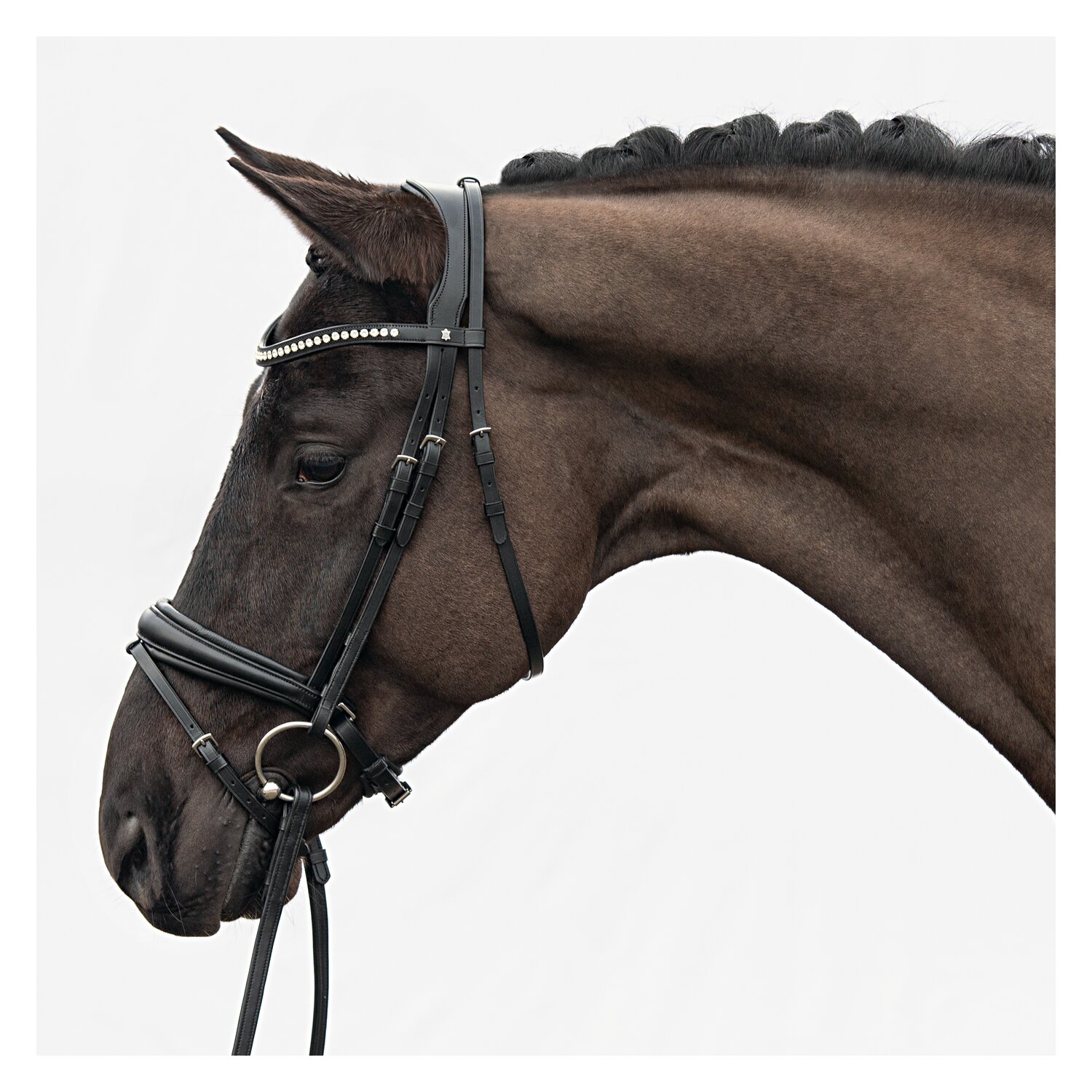 DÖBERT Trensenzaum Stuttgart Premium – Ansicht 1