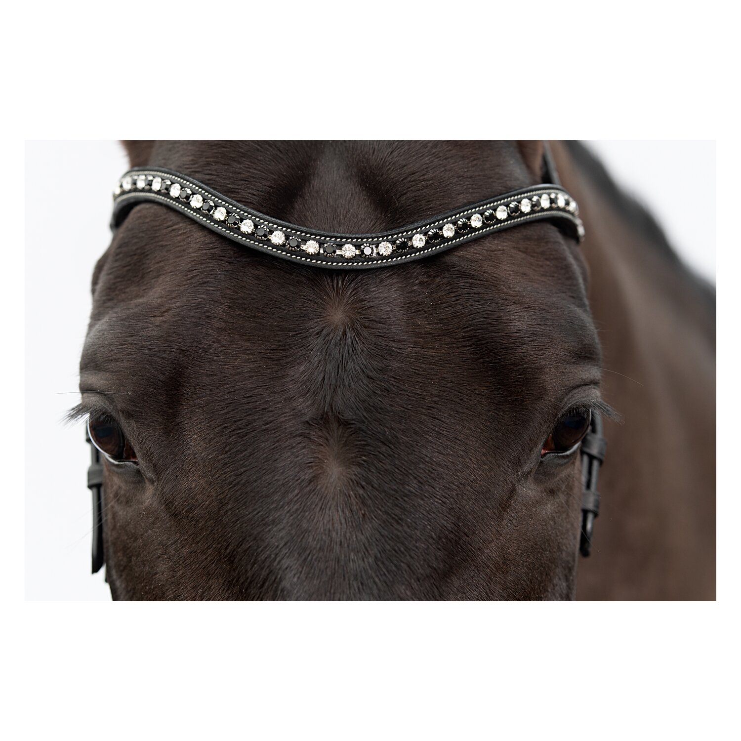 DÖBERT Trensenzaum Düsseldorf Premium – Ansicht 3