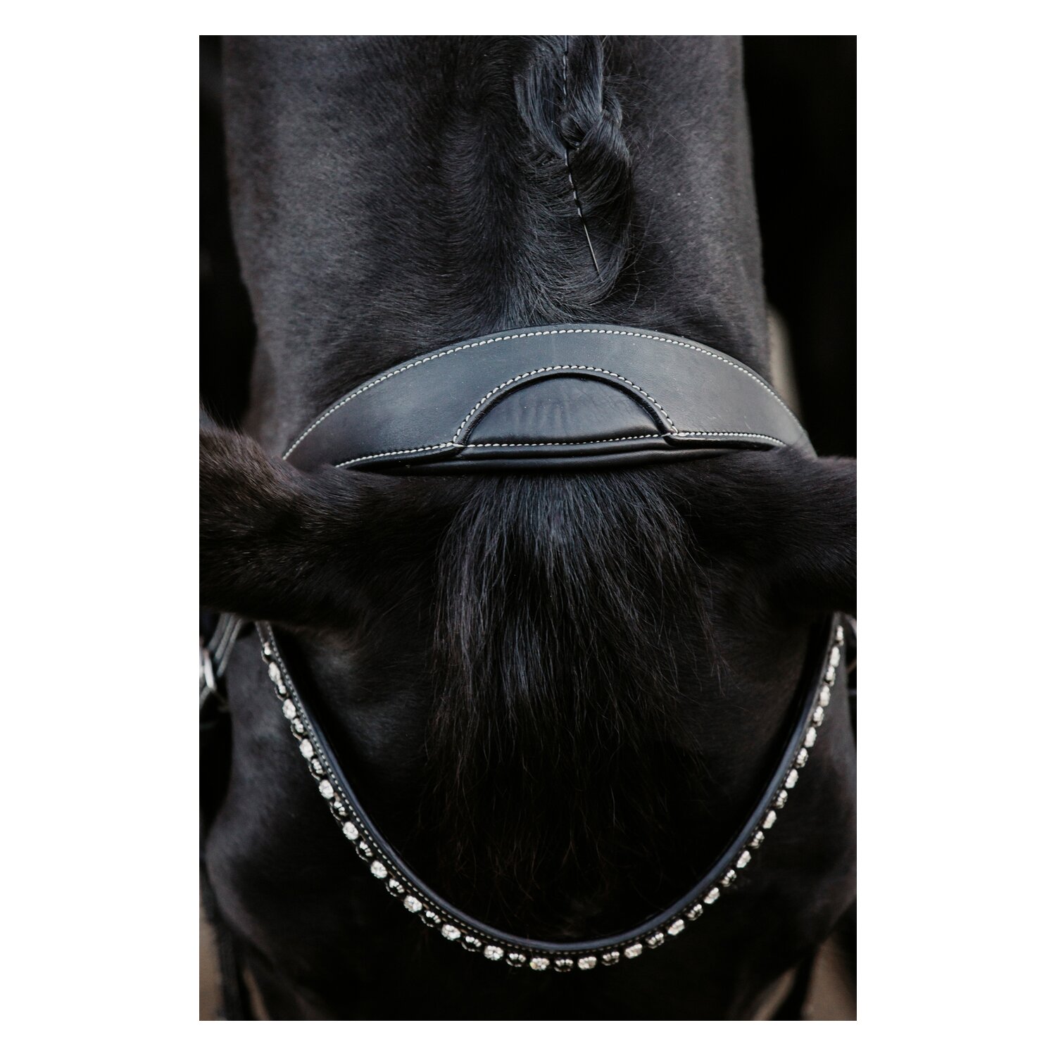 DÖBERT Trensenzaum Düsseldorf Premium – Ansicht 6