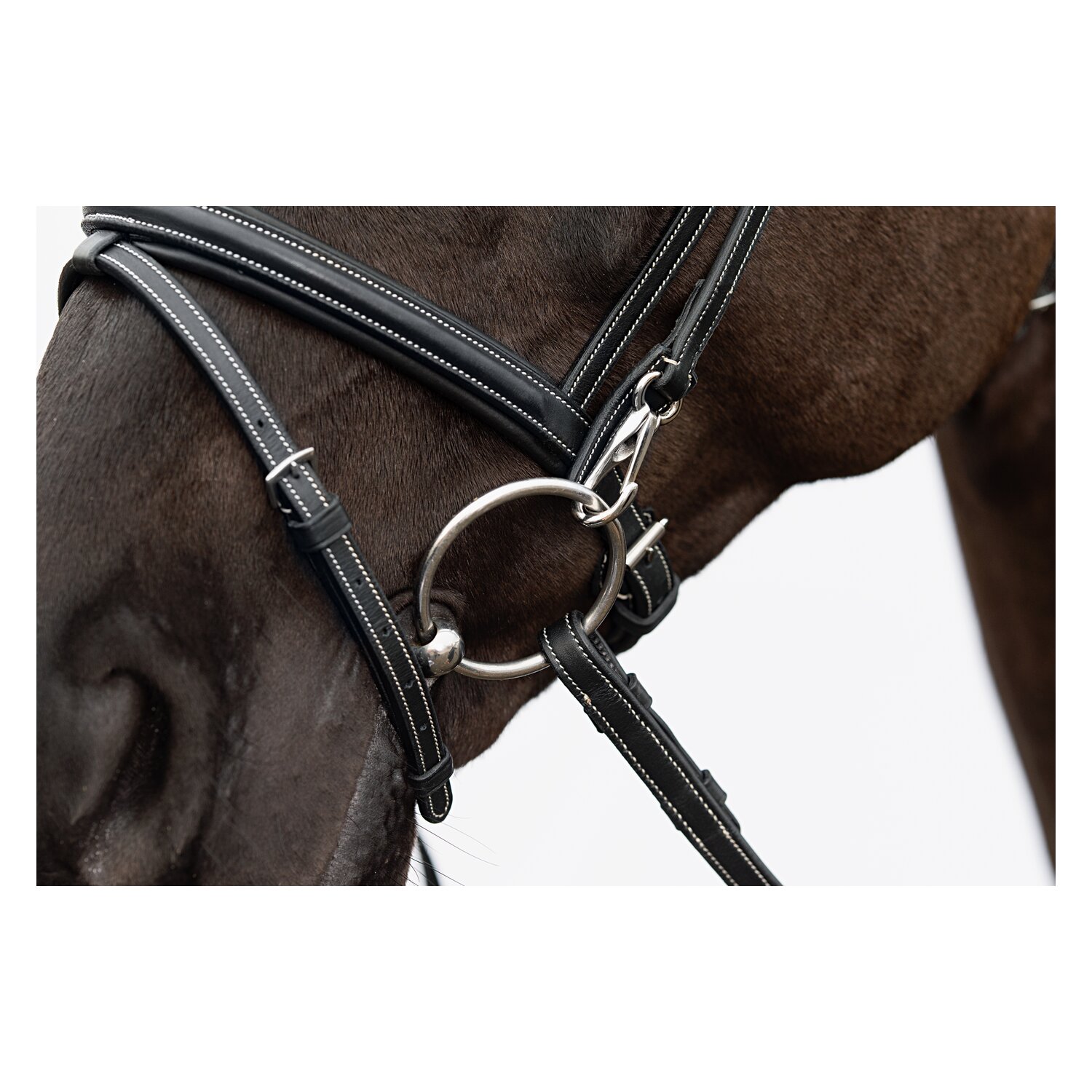 DÖBERT Trensenzaum Düsseldorf Premium – Ansicht 5