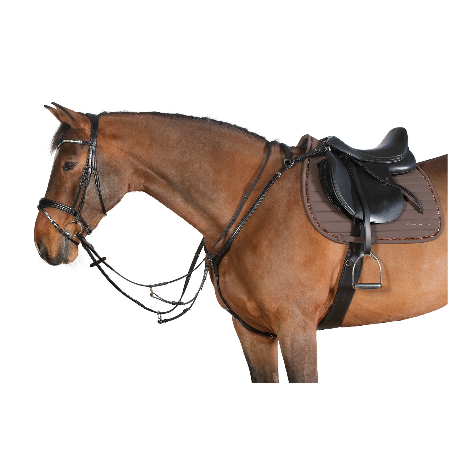 Cheval de Luxe Vorderzeug Dijon &ndash; Ansicht 3