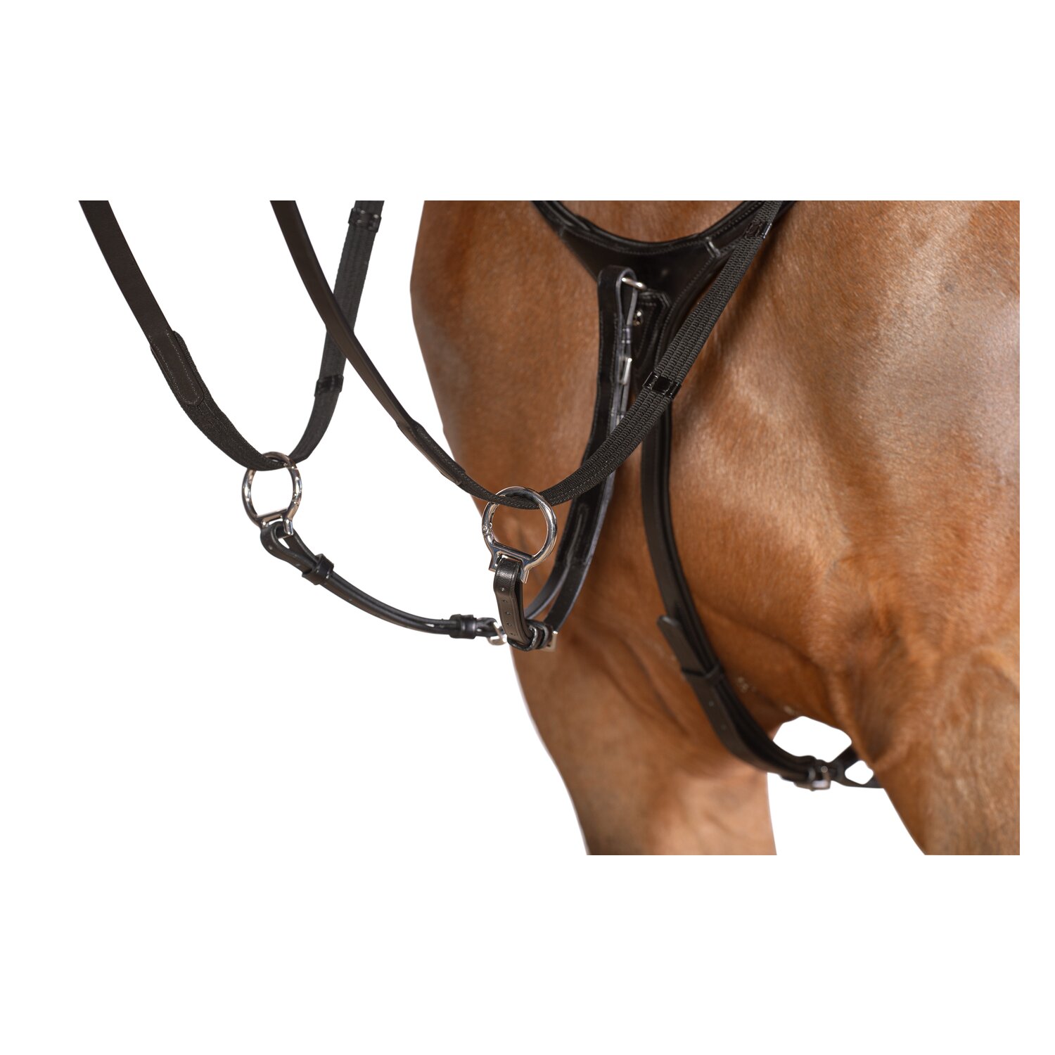 Cheval de Luxe Vorderzeug Dijon &ndash; Ansicht 5