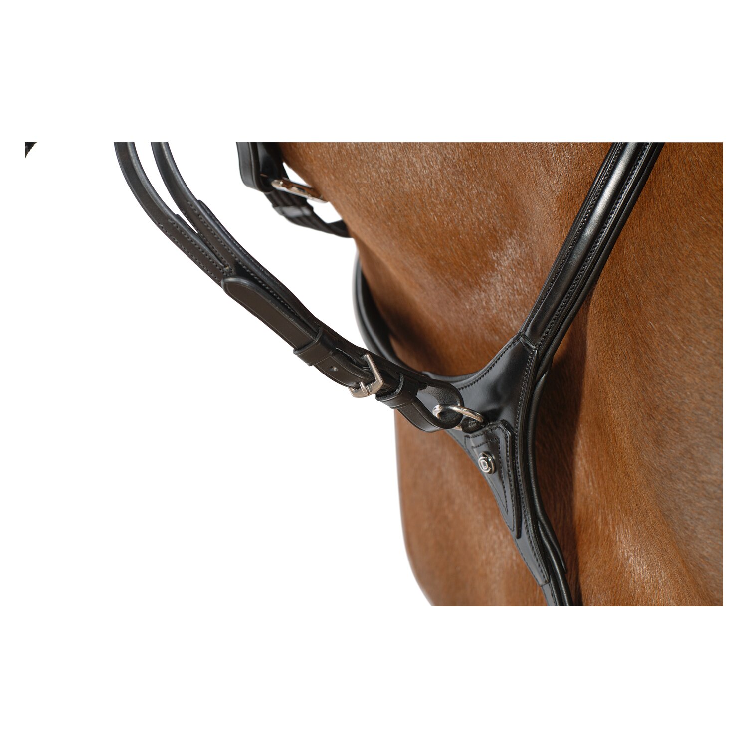 Cheval de Luxe Vorderzeug Dijon &ndash; Ansicht 4